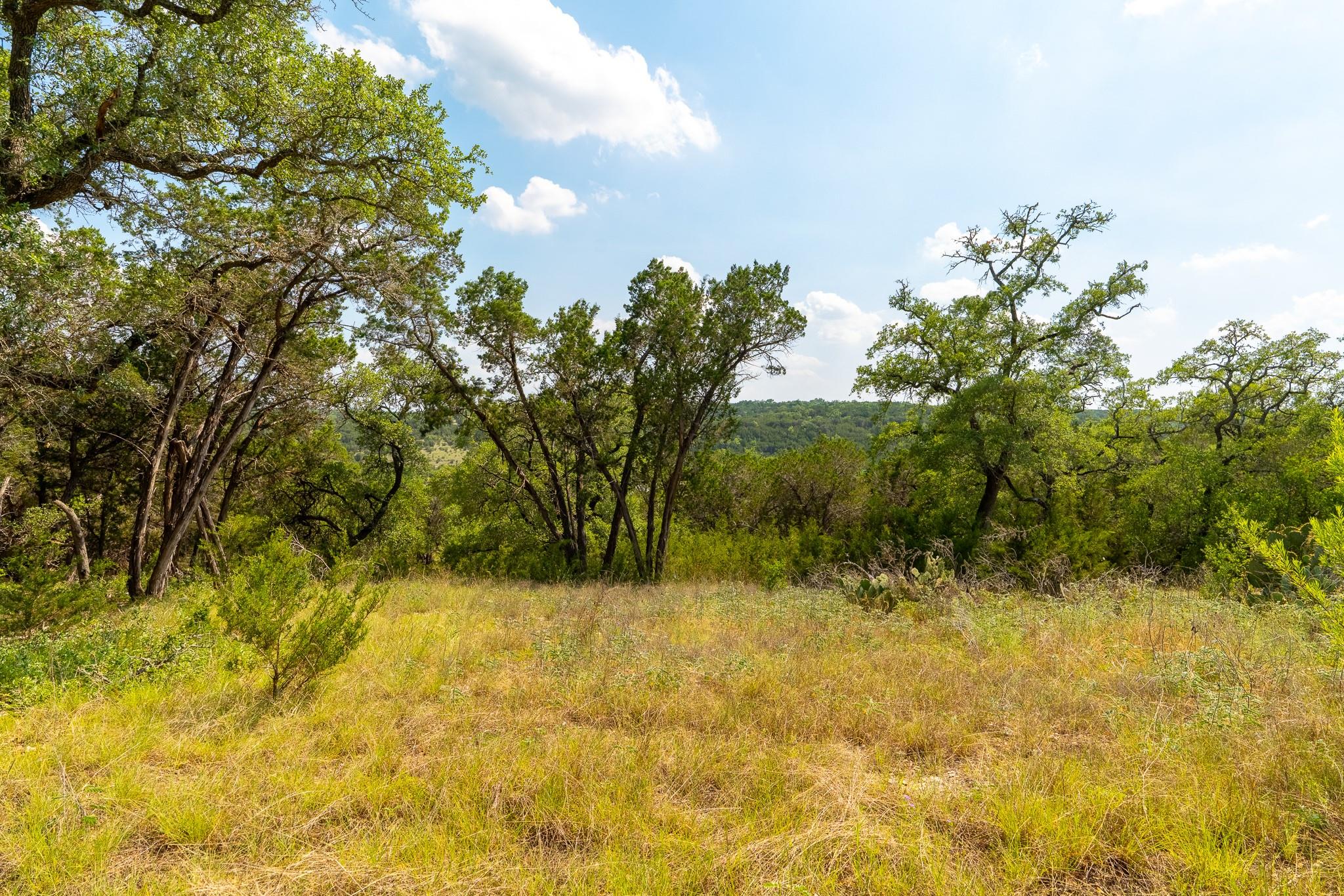 2934 Elm Terrace Ln, Wimberley, TX 78676