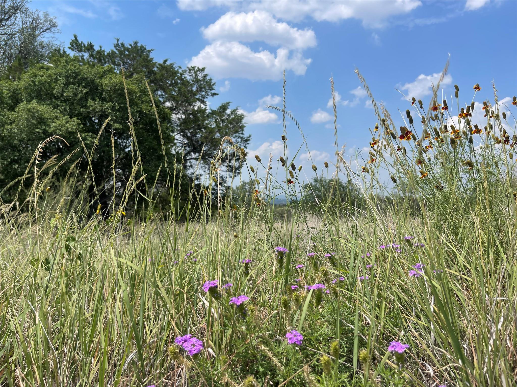 S5220 HORSESHOE BAY LOT K Dew Drop, Horseshoe Bay, TX 78657