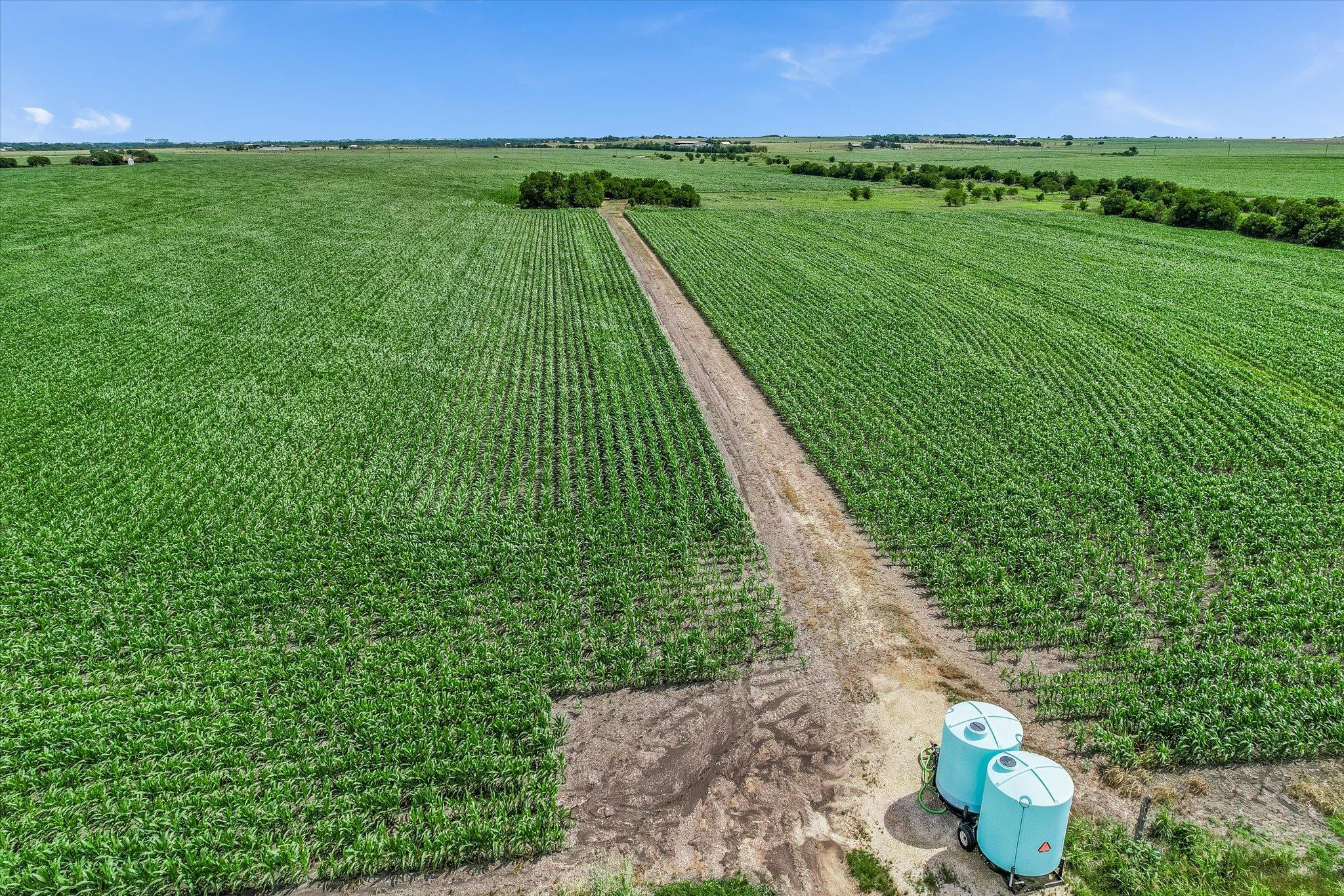 12500 Felder Ln, Coupland, TX 78615