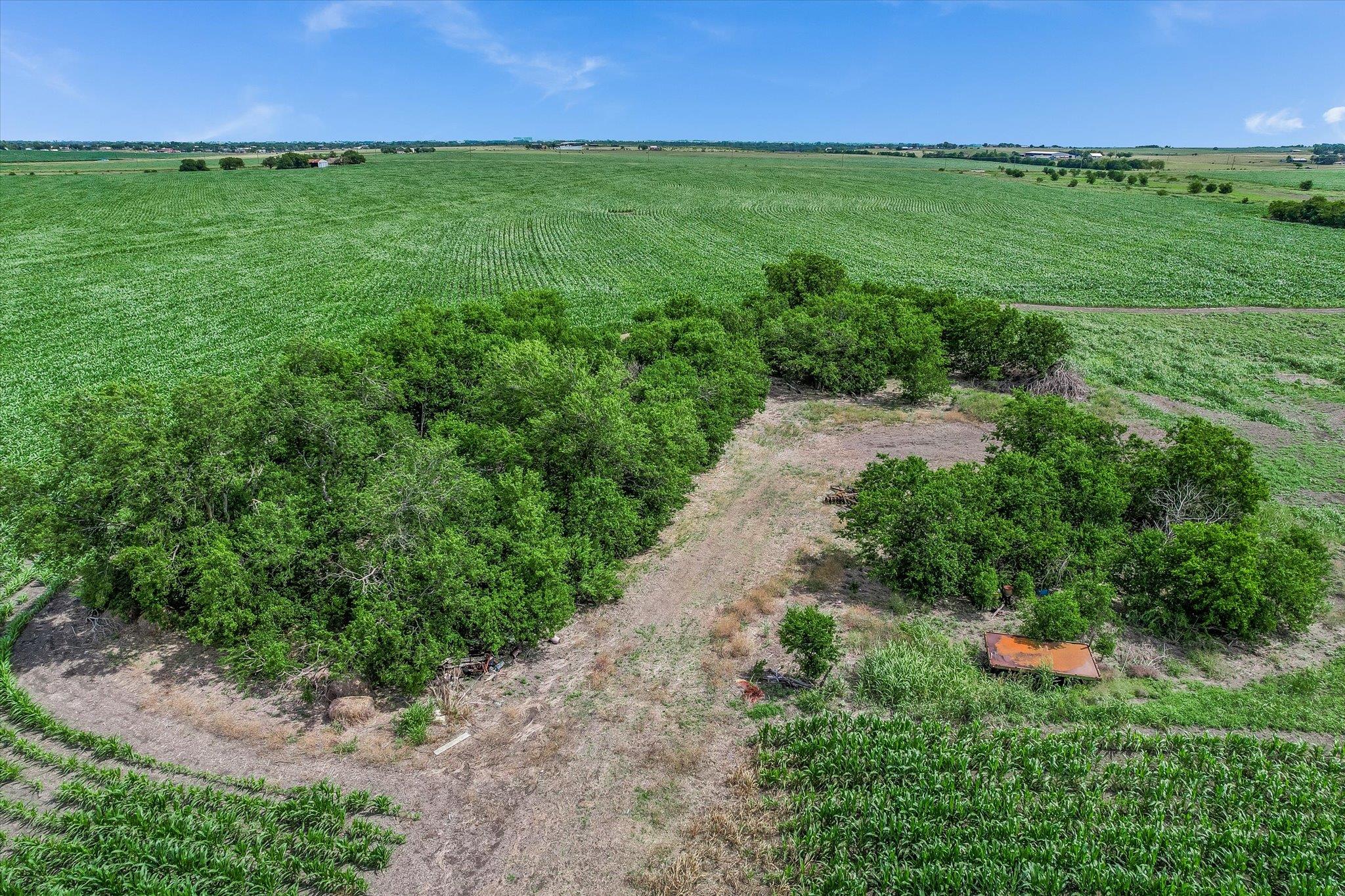 12500 Felder Ln, Coupland, TX 78615