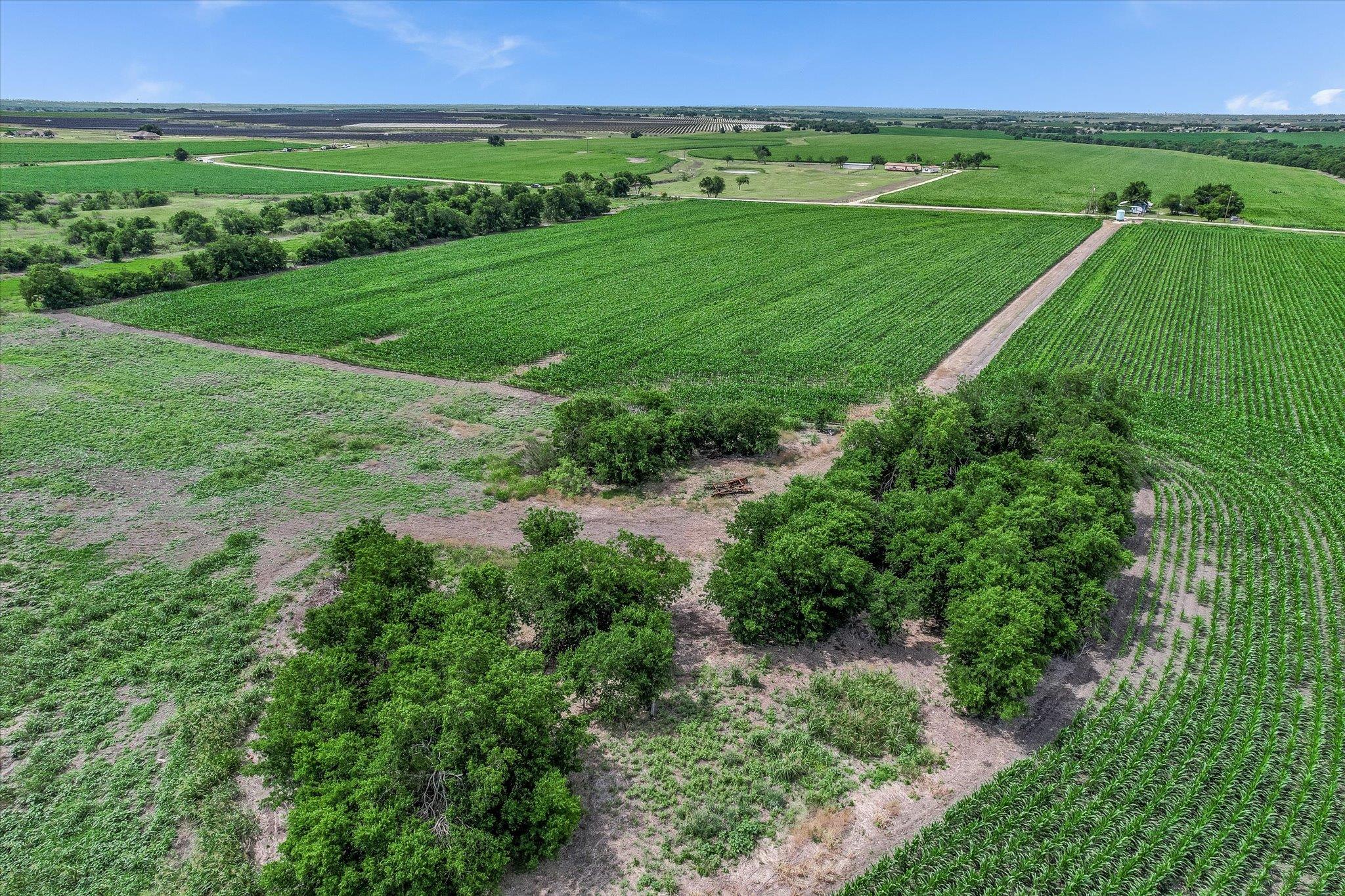 12500 Felder Ln, Coupland, TX 78615