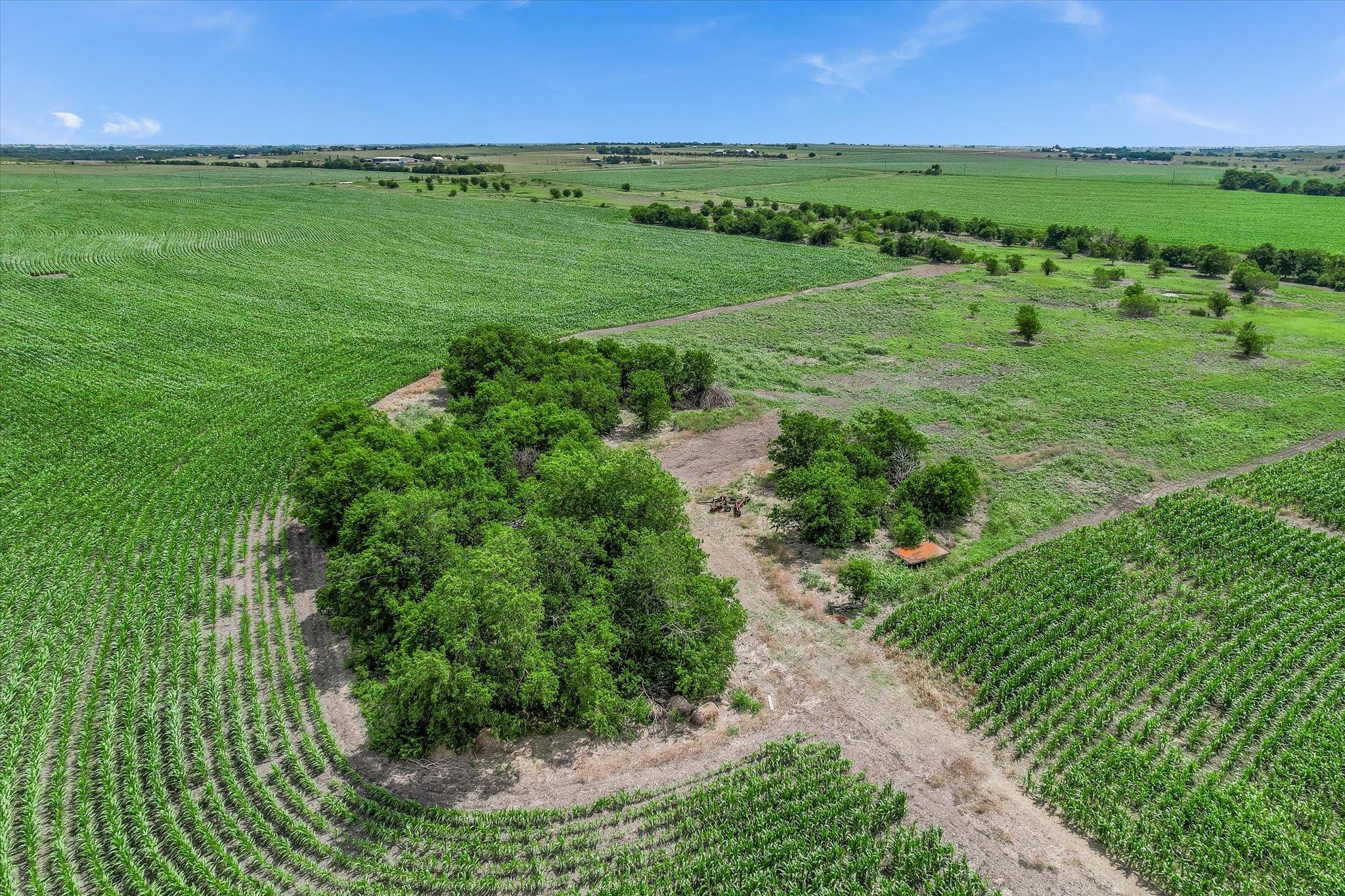 12500 Felder Ln, Coupland, TX 78615