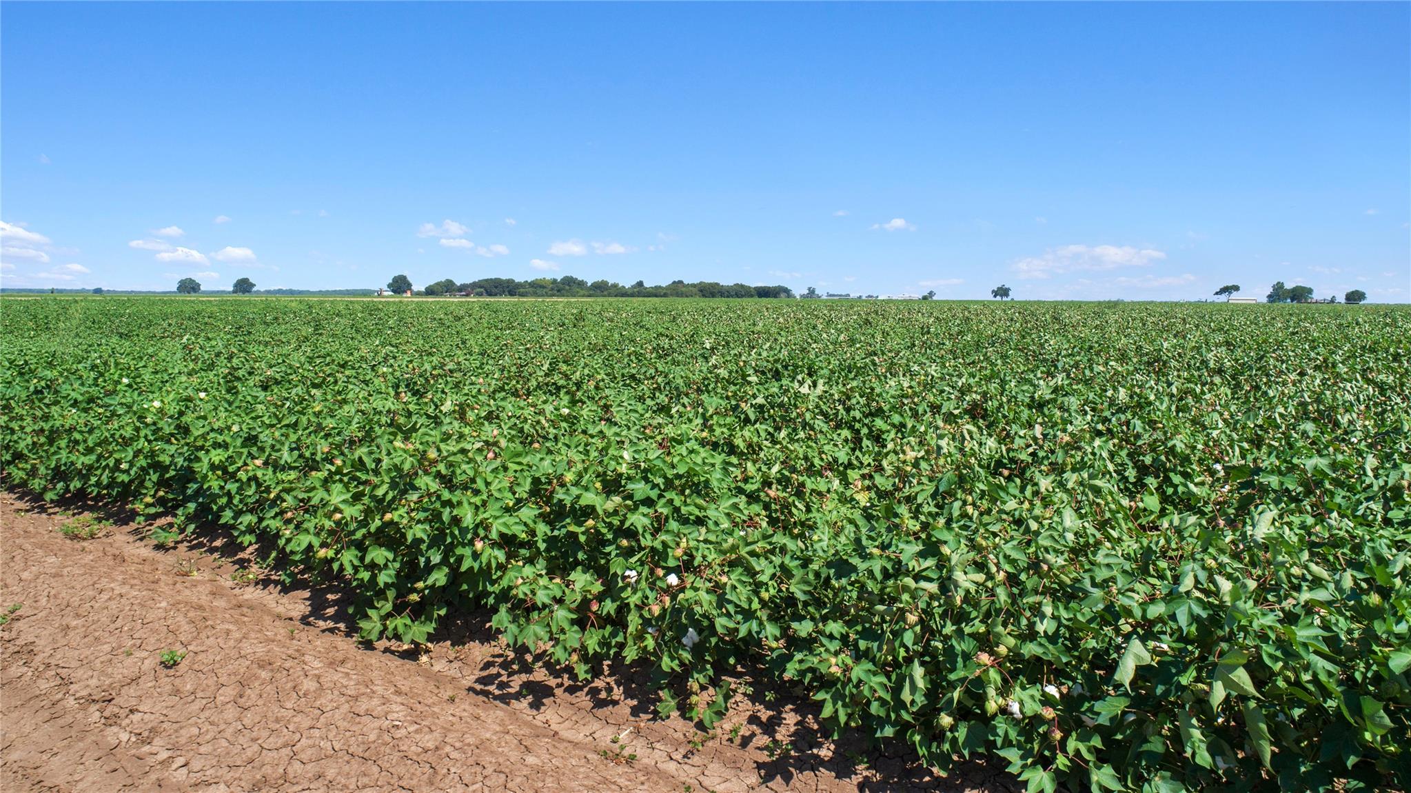 12485 Sandy Point Rd, Bryan, TX 77807