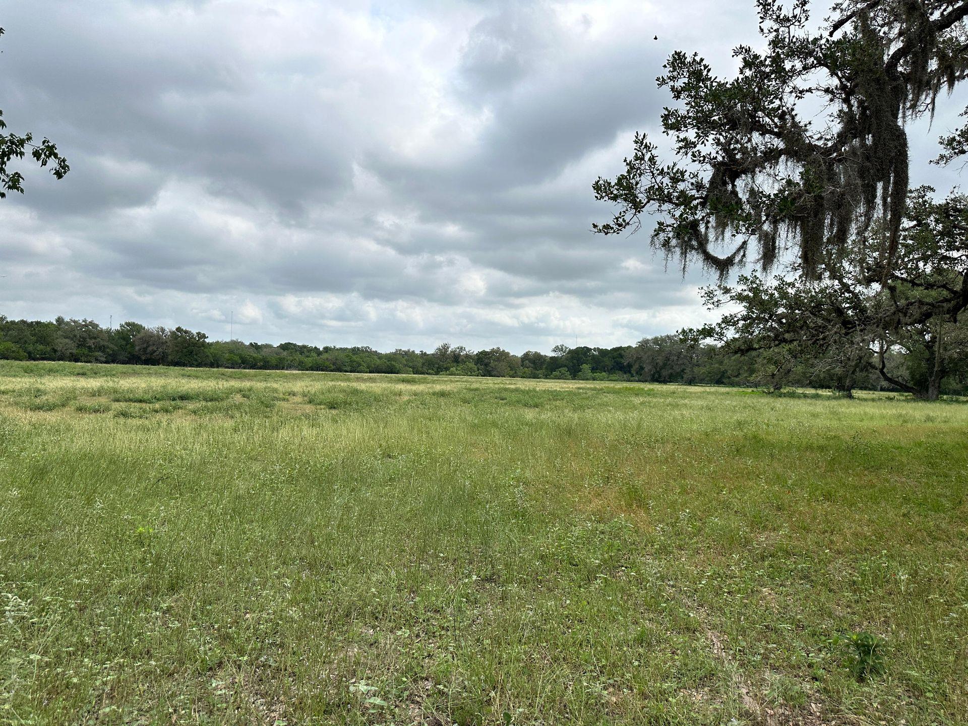 305 CR 305, Beeville, TX 78102