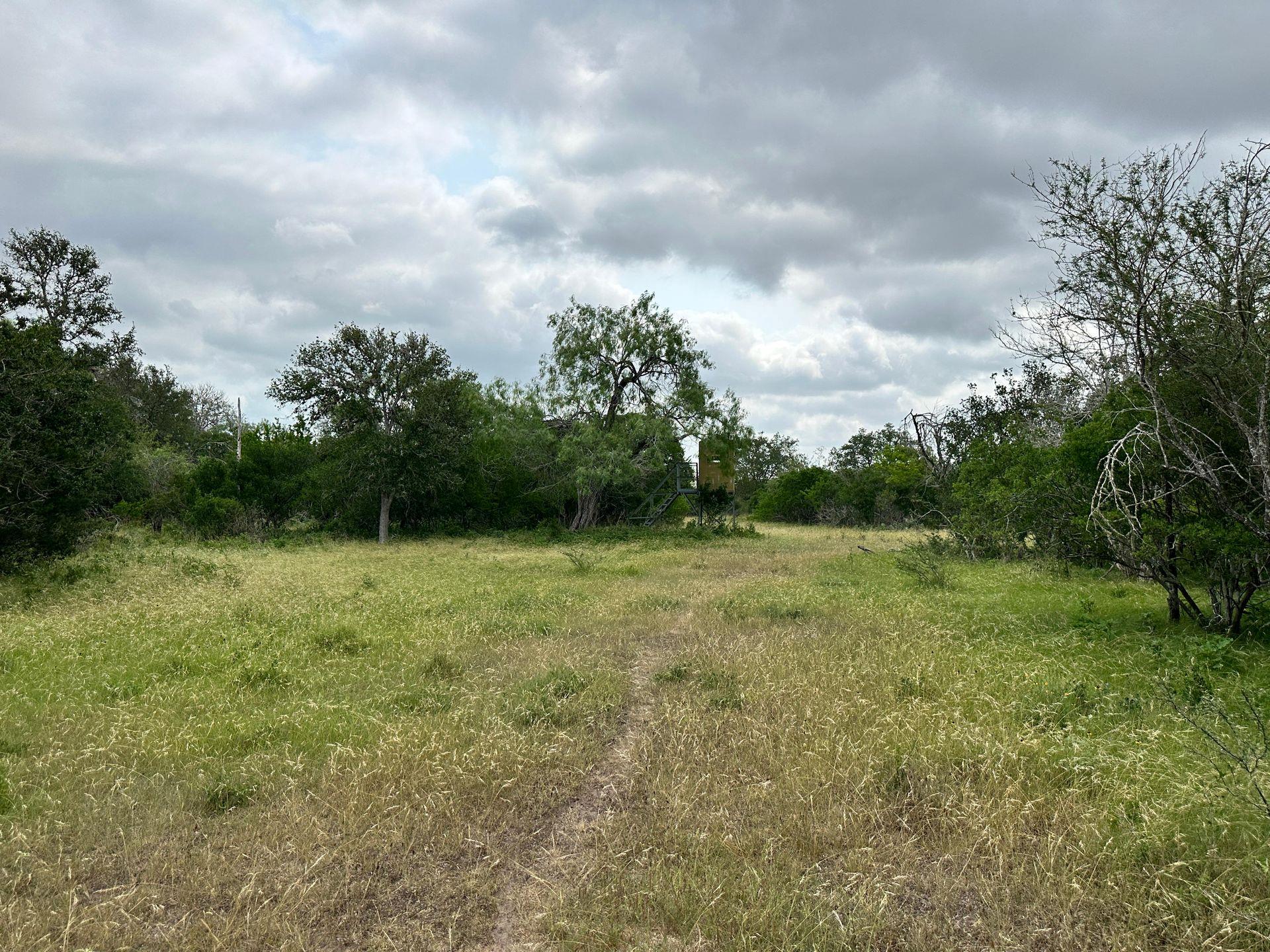 305 CR 305, Beeville, TX 78102