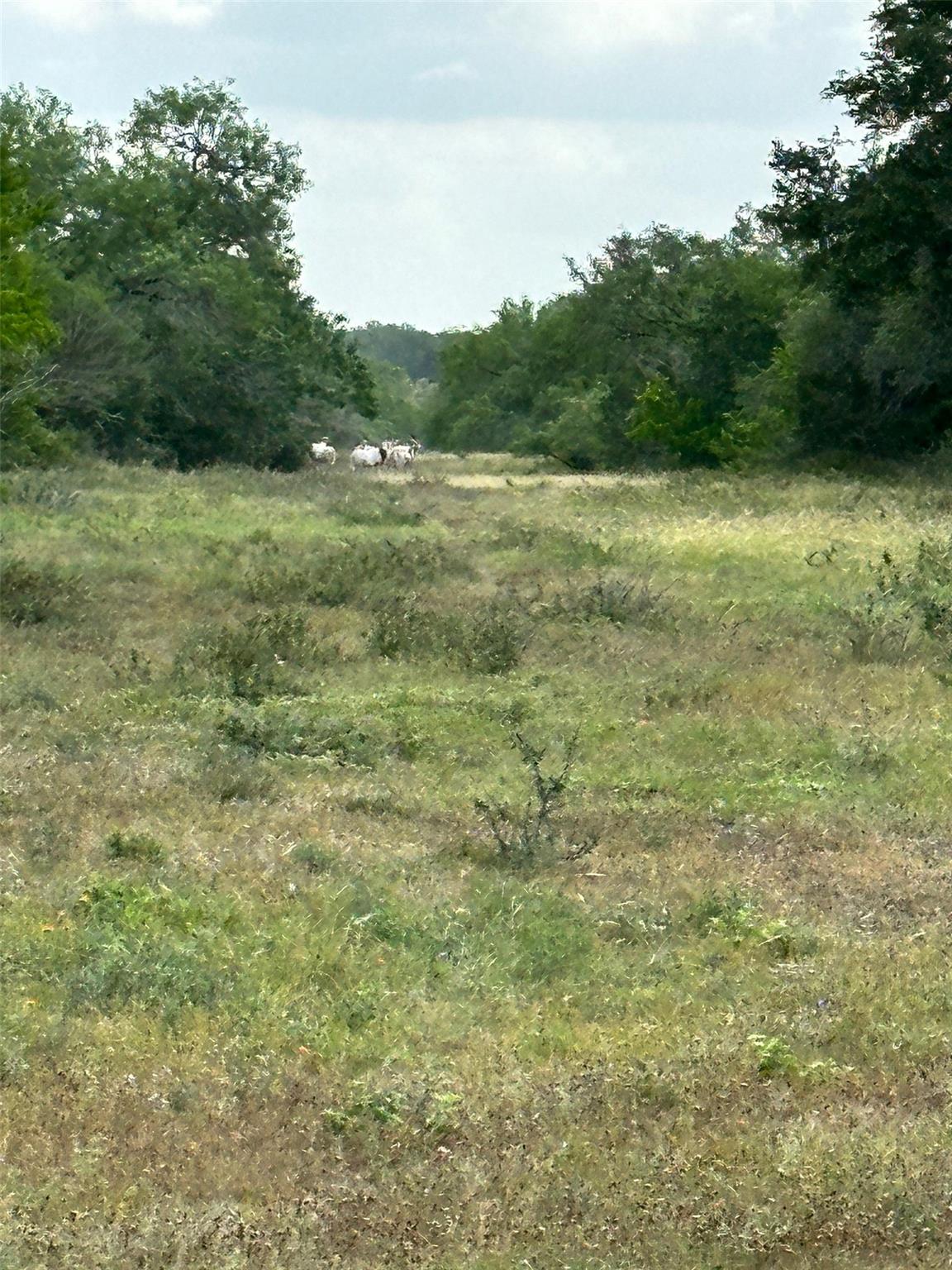 305 CR 305, Beeville, TX 78102