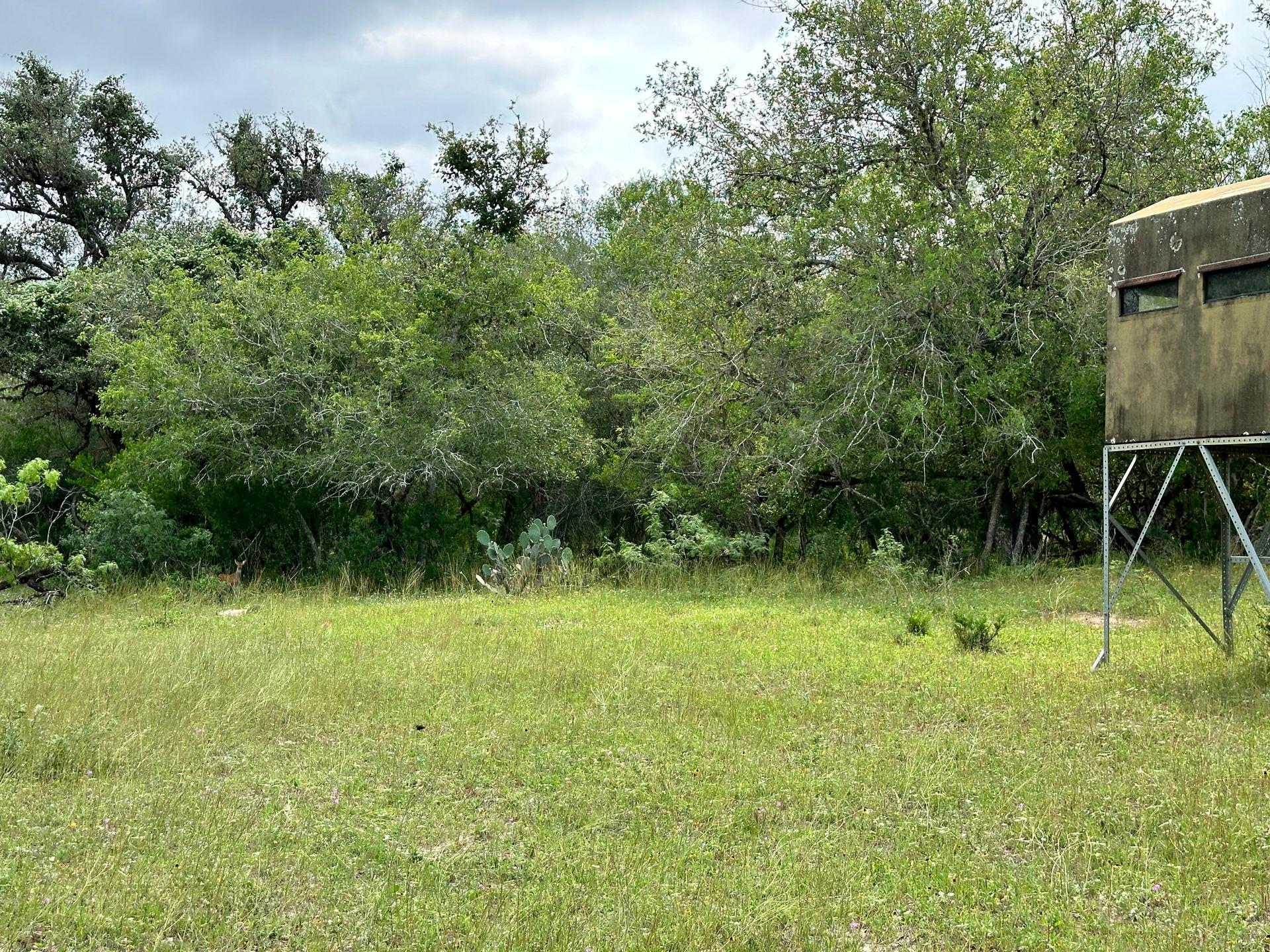 305 CR 305, Beeville, TX 78102