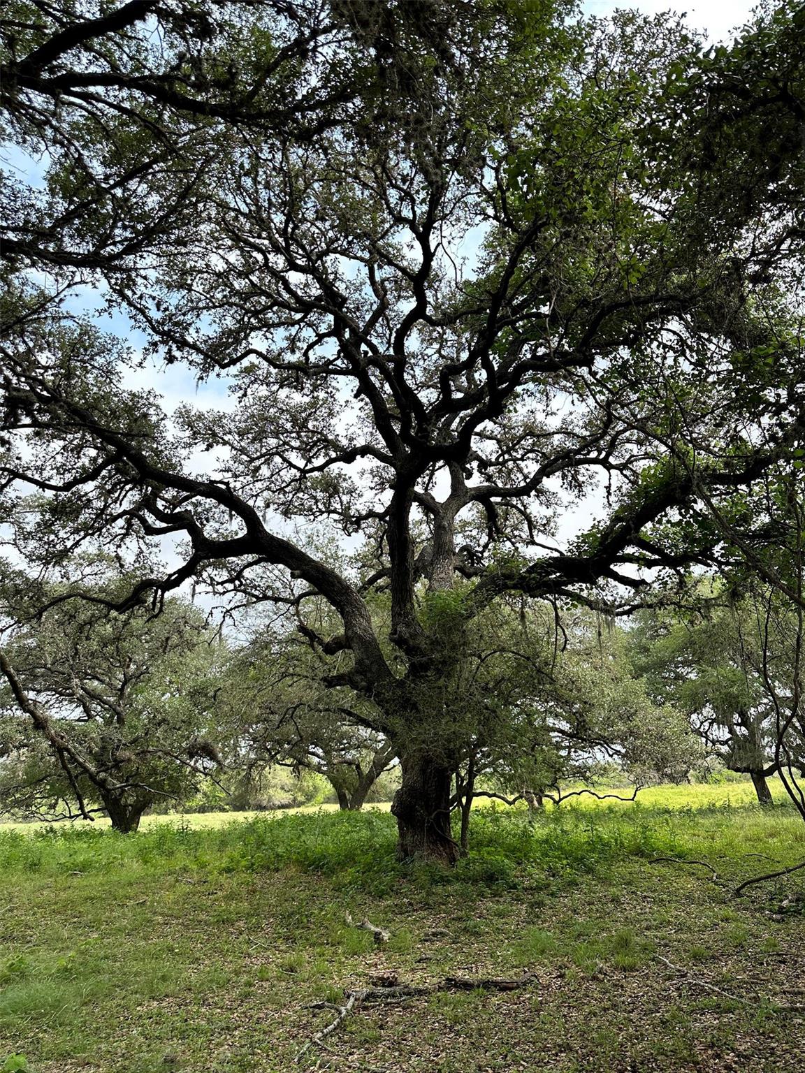 305 CR 305, Beeville, TX 78102
