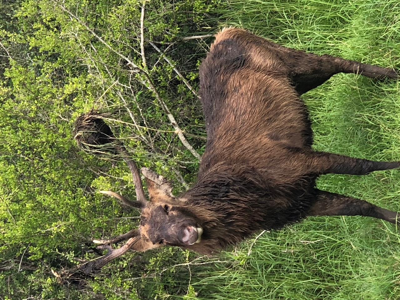 305 CR 305, Beeville, TX 78102