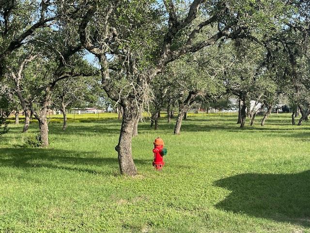 810 N Avenue R, Johnson City, TX 78636