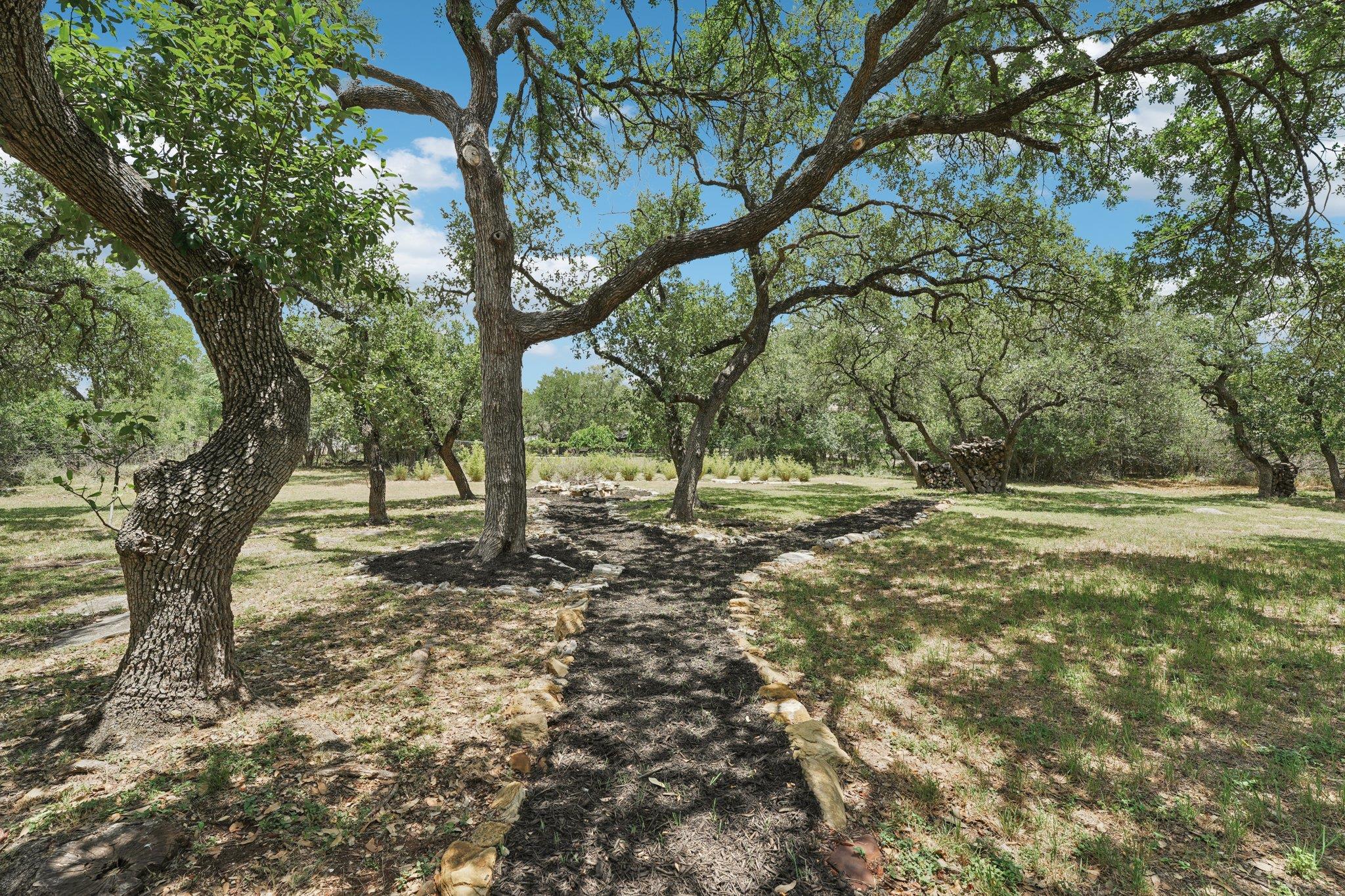 4113 Windflower Ln, Georgetown, TX 78628