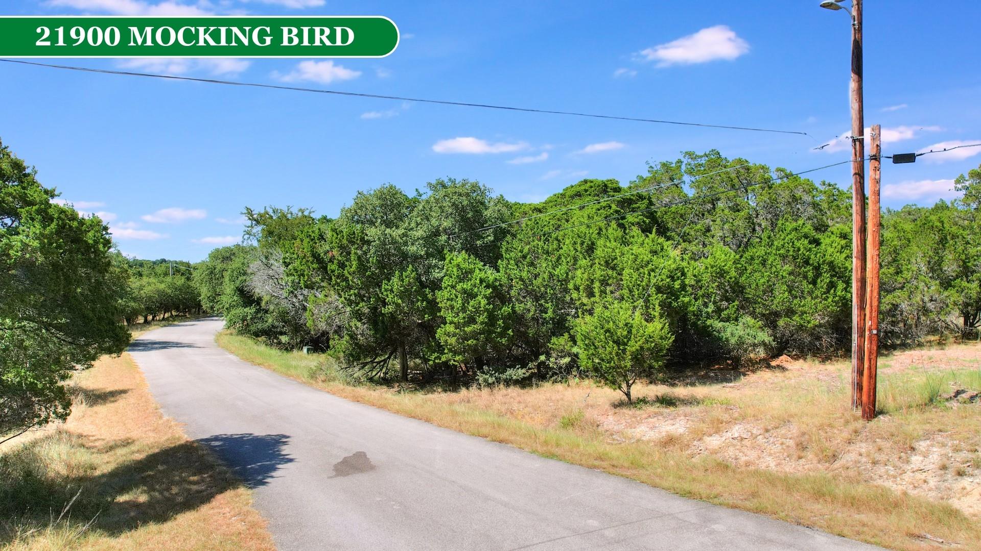 21900 Mockingbird St, Lago Vista, TX 78645