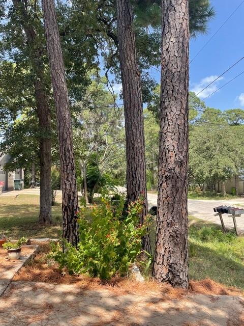 110 N Kanaio Dr # B, Bastrop, TX 78602