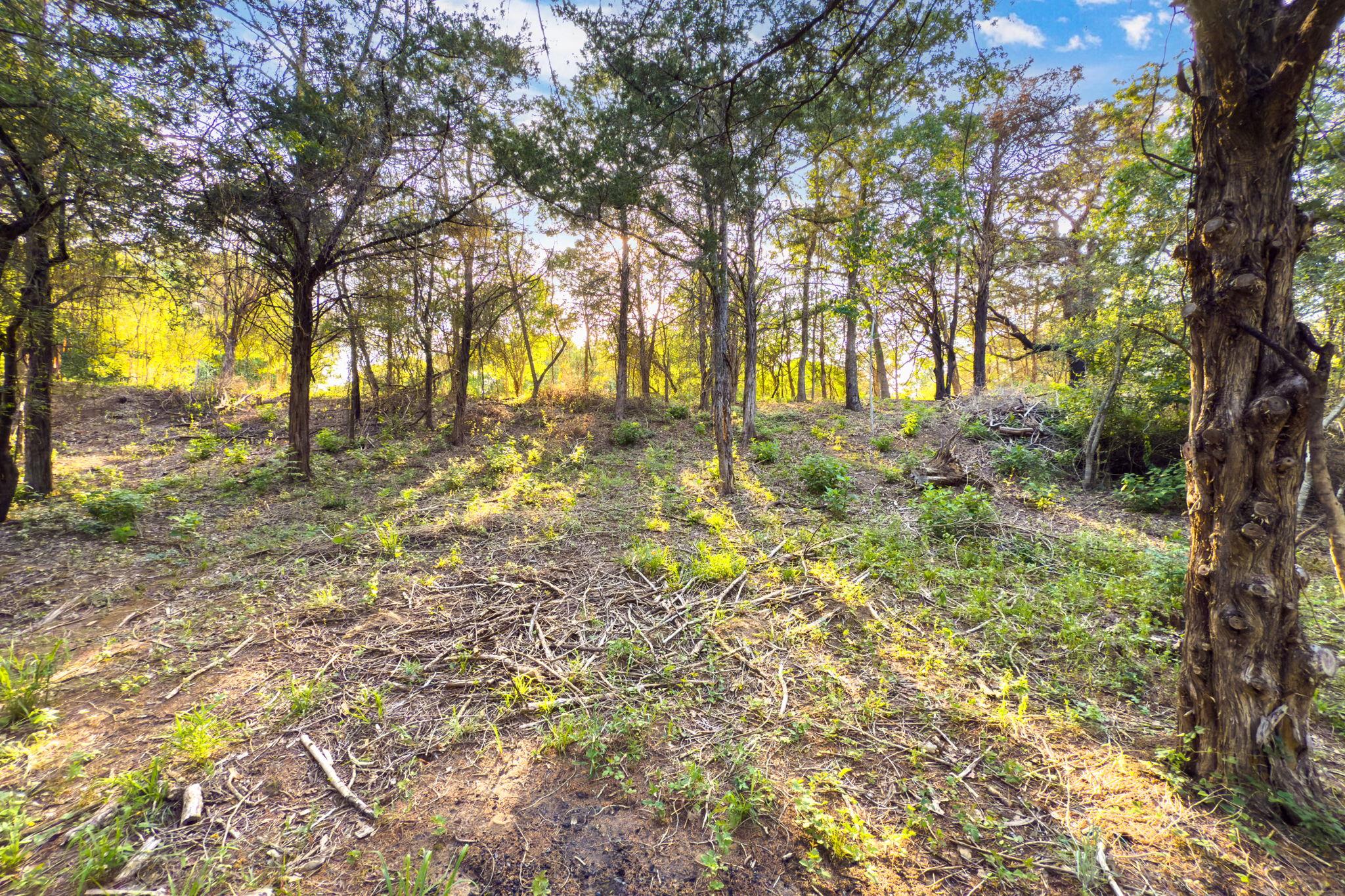 000 Green Valley Dr, Bastrop, TX 78602