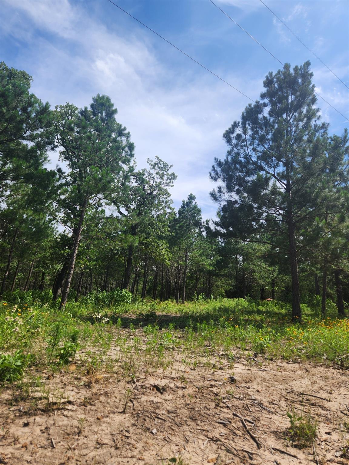 124 Paintbrush Ln, Bastrop, TX 78602