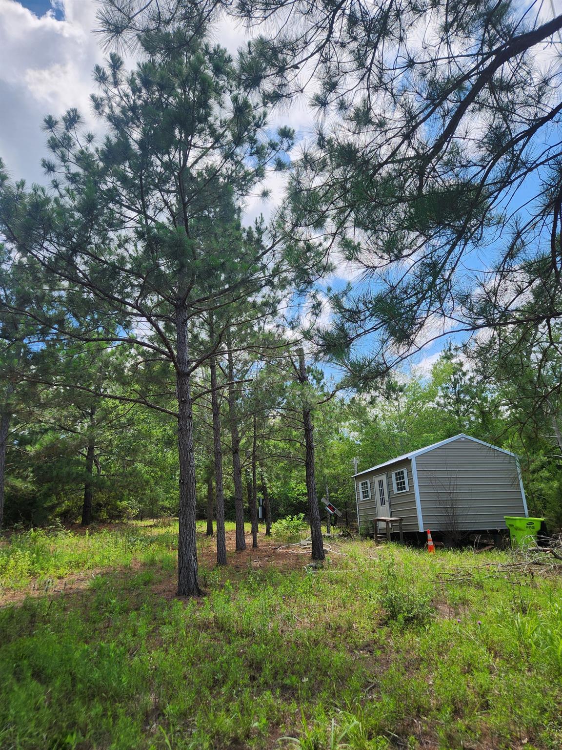 124 Paintbrush Ln, Bastrop, TX 78602