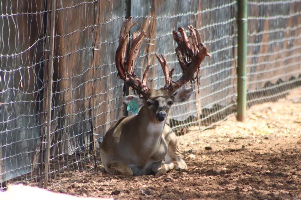 1681 FM574 Highway, Goldthwaite, TX 76864