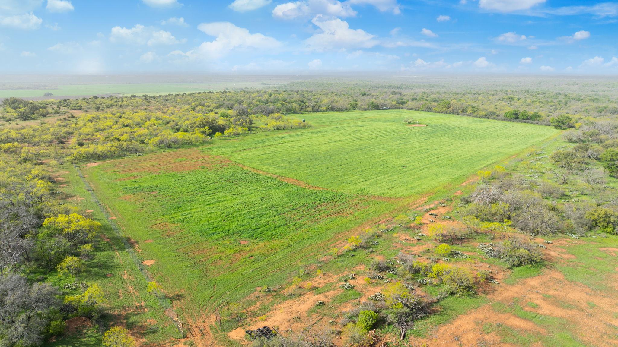 1681 FM574 Highway, Goldthwaite, TX 76864