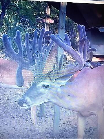 1681 FM574 Highway, Goldthwaite, TX 76864