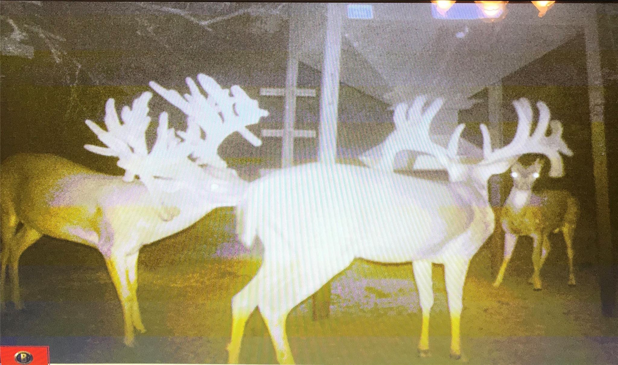 1681 FM574 Highway, Goldthwaite, TX 76864