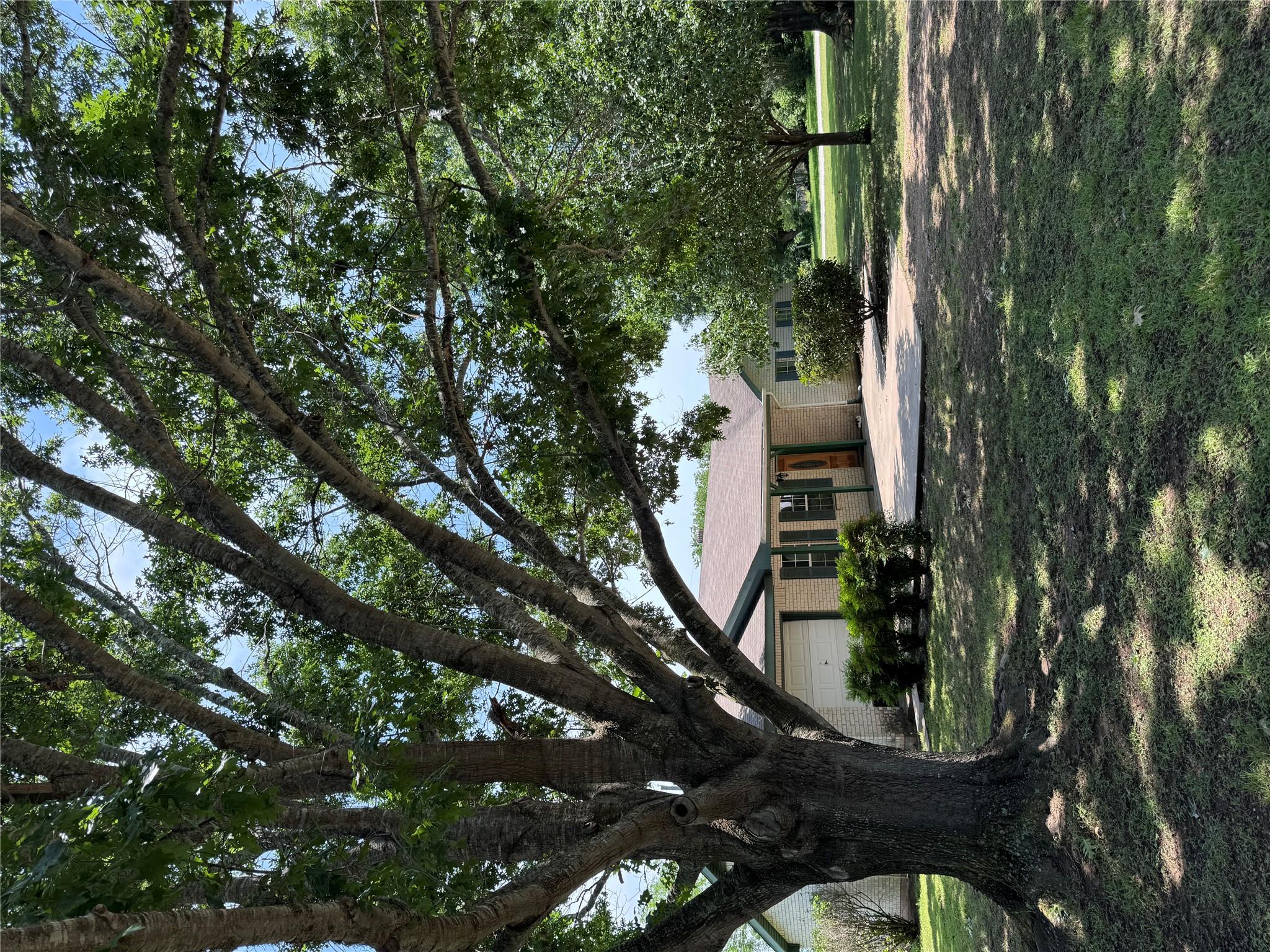 405 Lynch St, Smithville, TX 78957