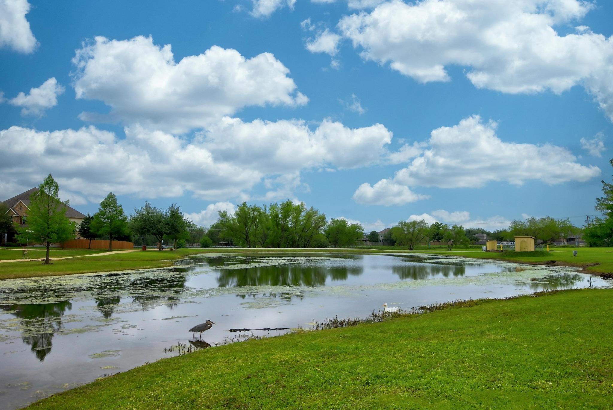 21506 Greylag Dr, Pflugerville, TX 78660