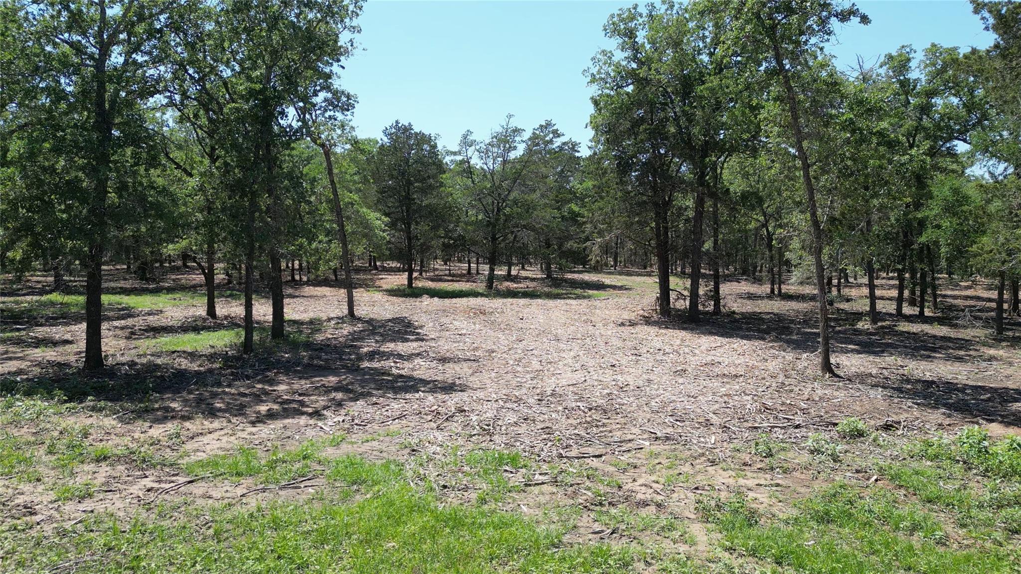 431 Nink Rd, Smithville, TX 78957