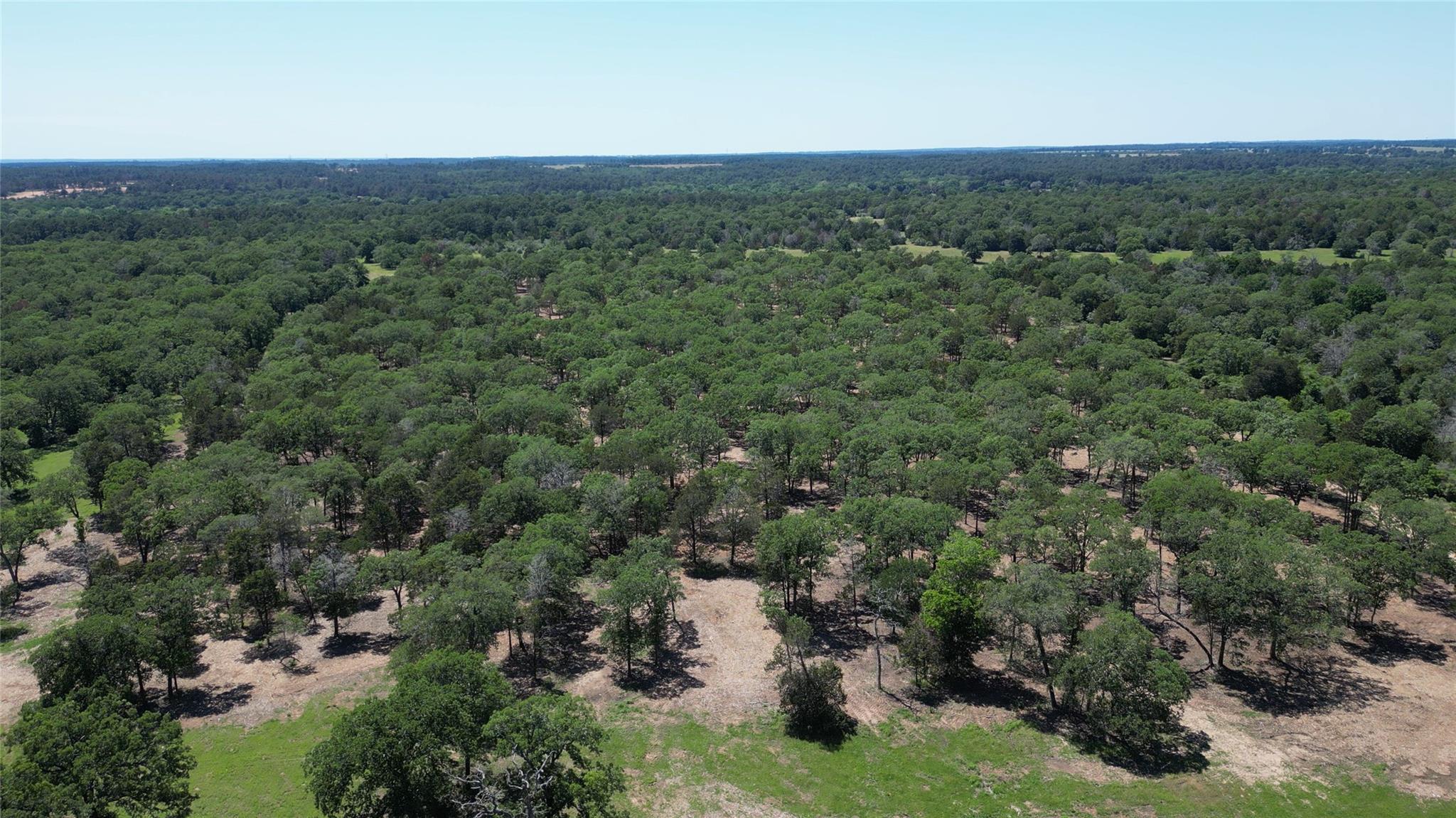 431 Nink Rd, Smithville, TX 78957