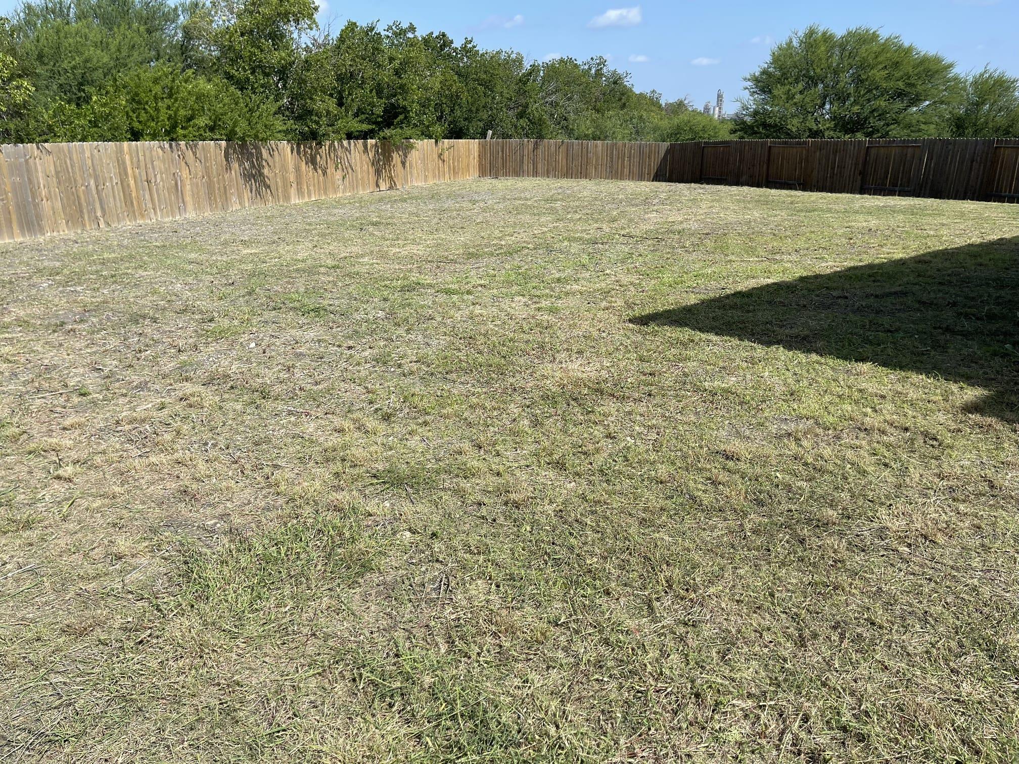 4226 Trail De Paris, New Braunfels, TX 78132