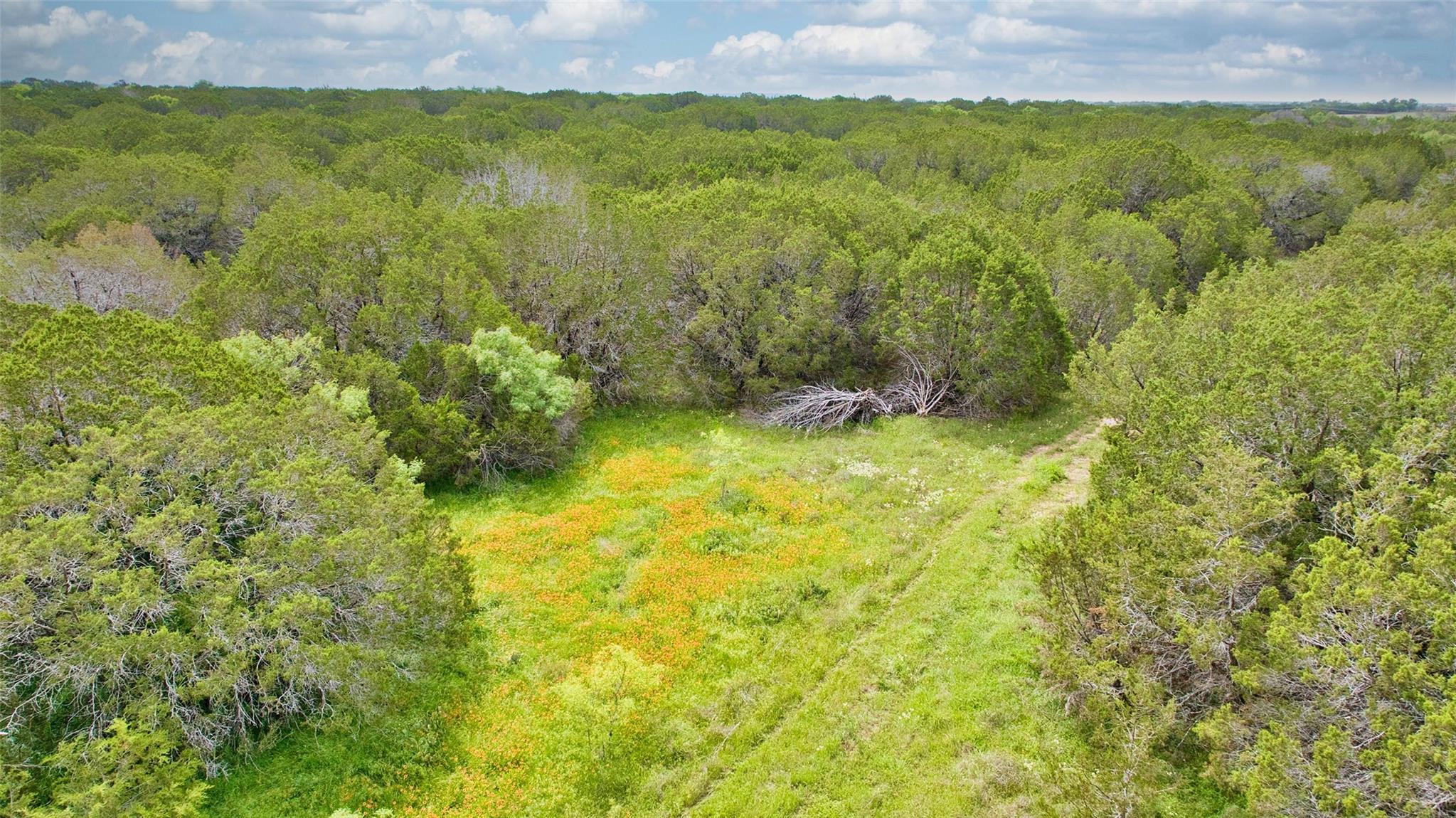 Lot 3, 5060 W. Hwy 190, Lometa, TX 78653