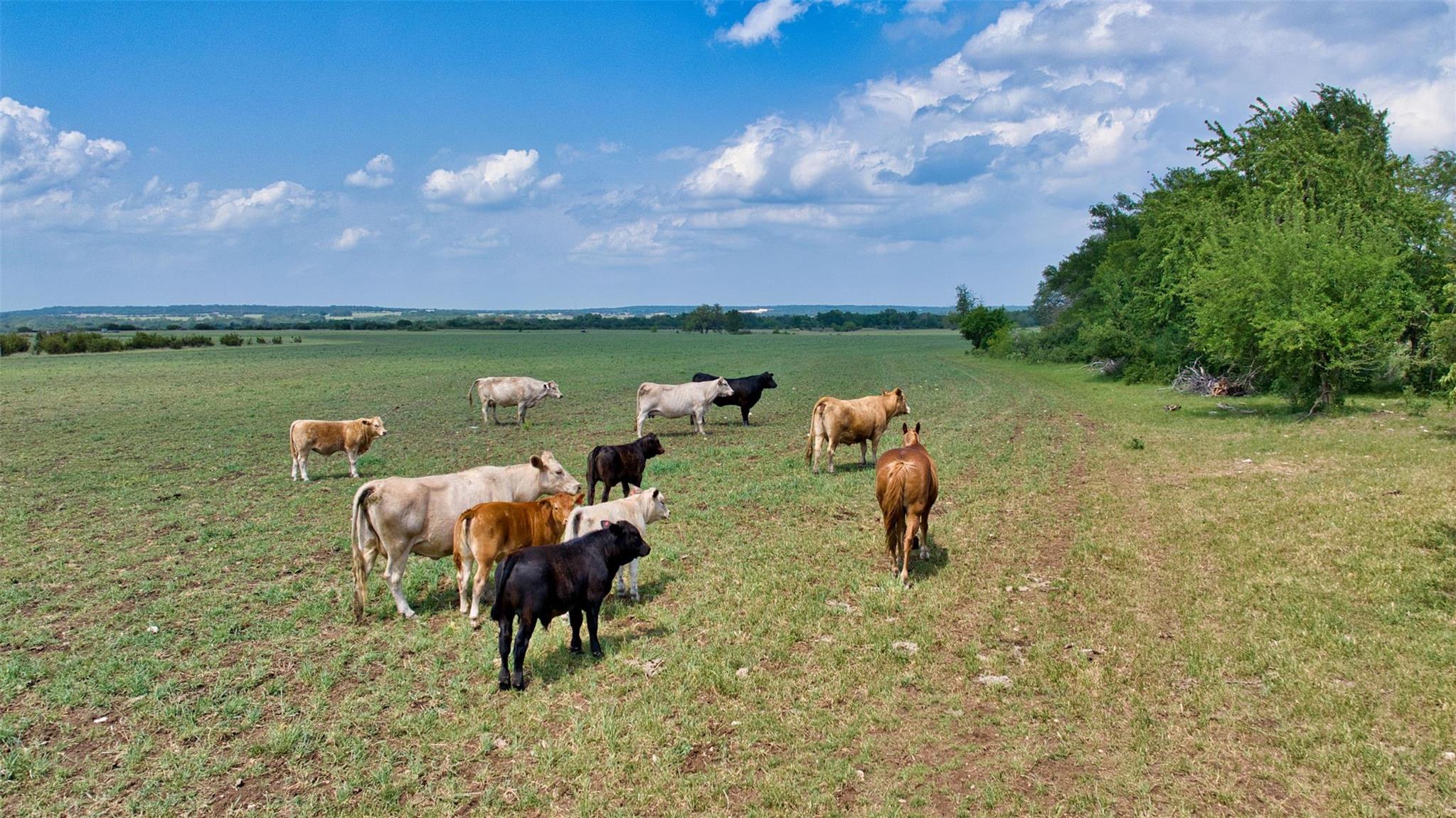 2700 County Road 245, Florence, TX 76527