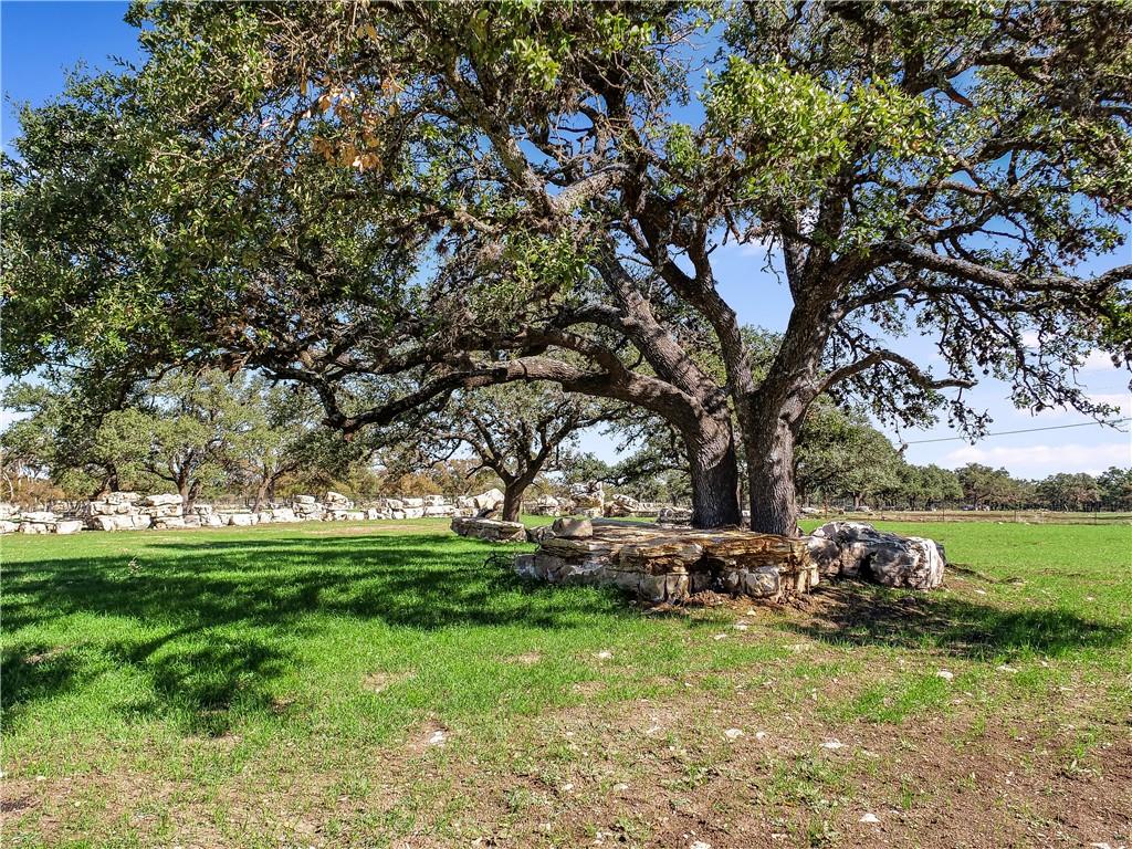 788 Clarence Jacoby Rd, Fredericksburg, TX 78624