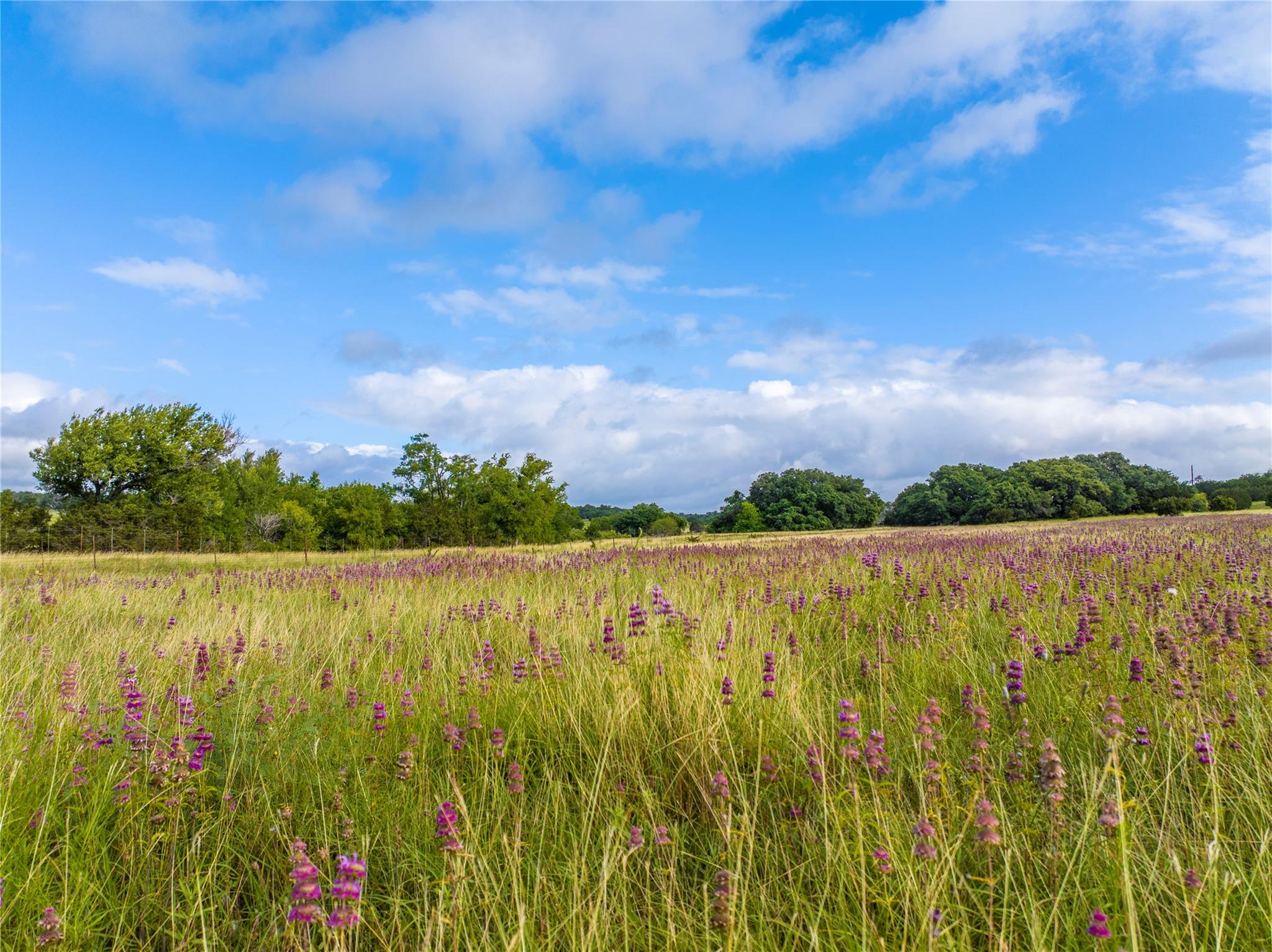 00 Vaquero Vista Trail Ln, Lampasas, TX 78608