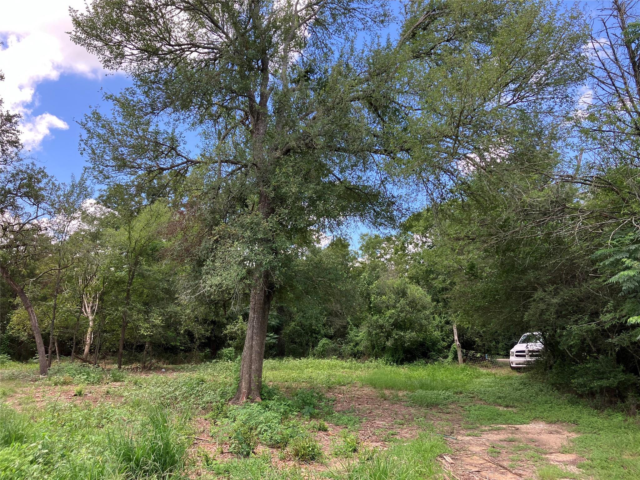 693 Saint Mary's Rd, Rosanky, TX 78953