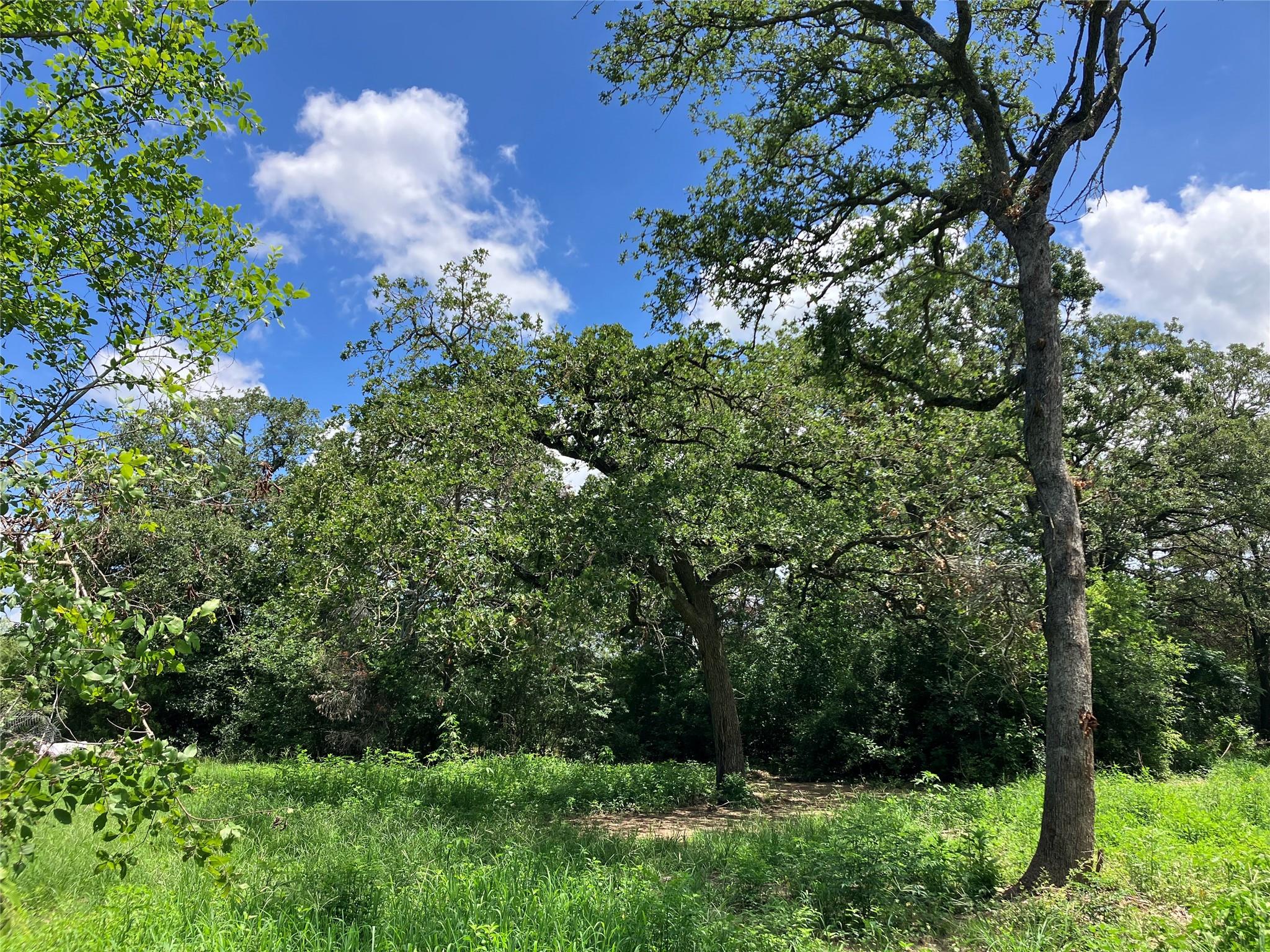 693 Saint Mary's Rd, Rosanky, TX 78953