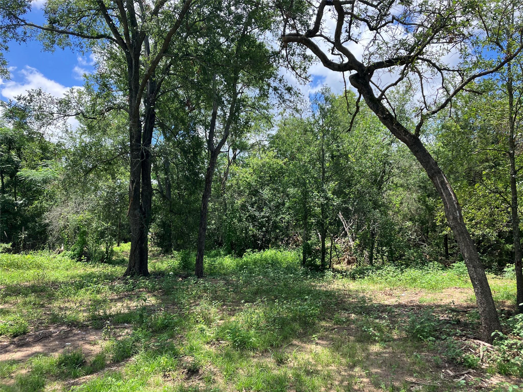 693 Saint Mary's Rd, Rosanky, TX 78953