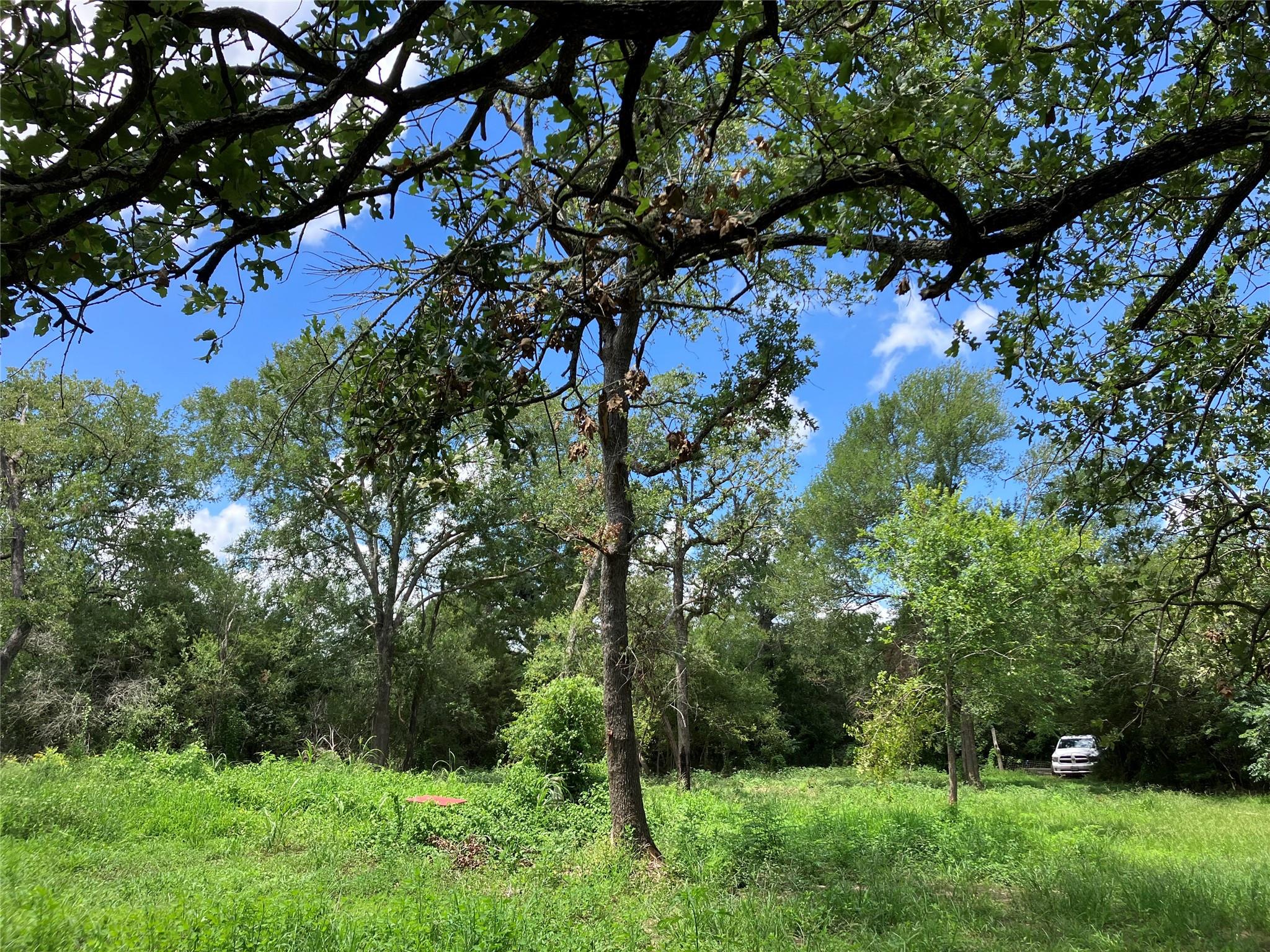 693 Saint Mary's Rd, Rosanky, TX 78953