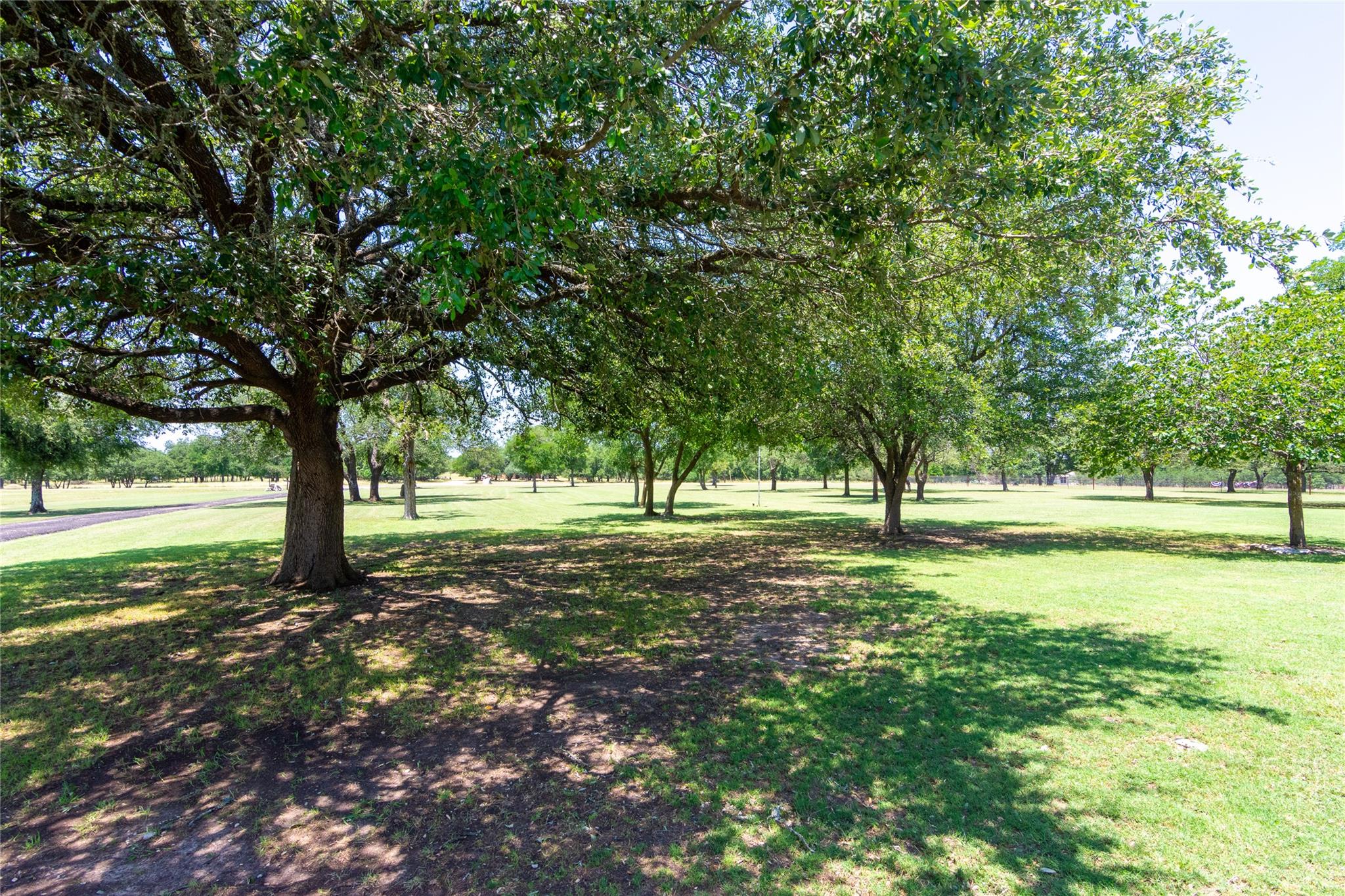 1265 Mourning Dove Ct, Salado, TX 76571