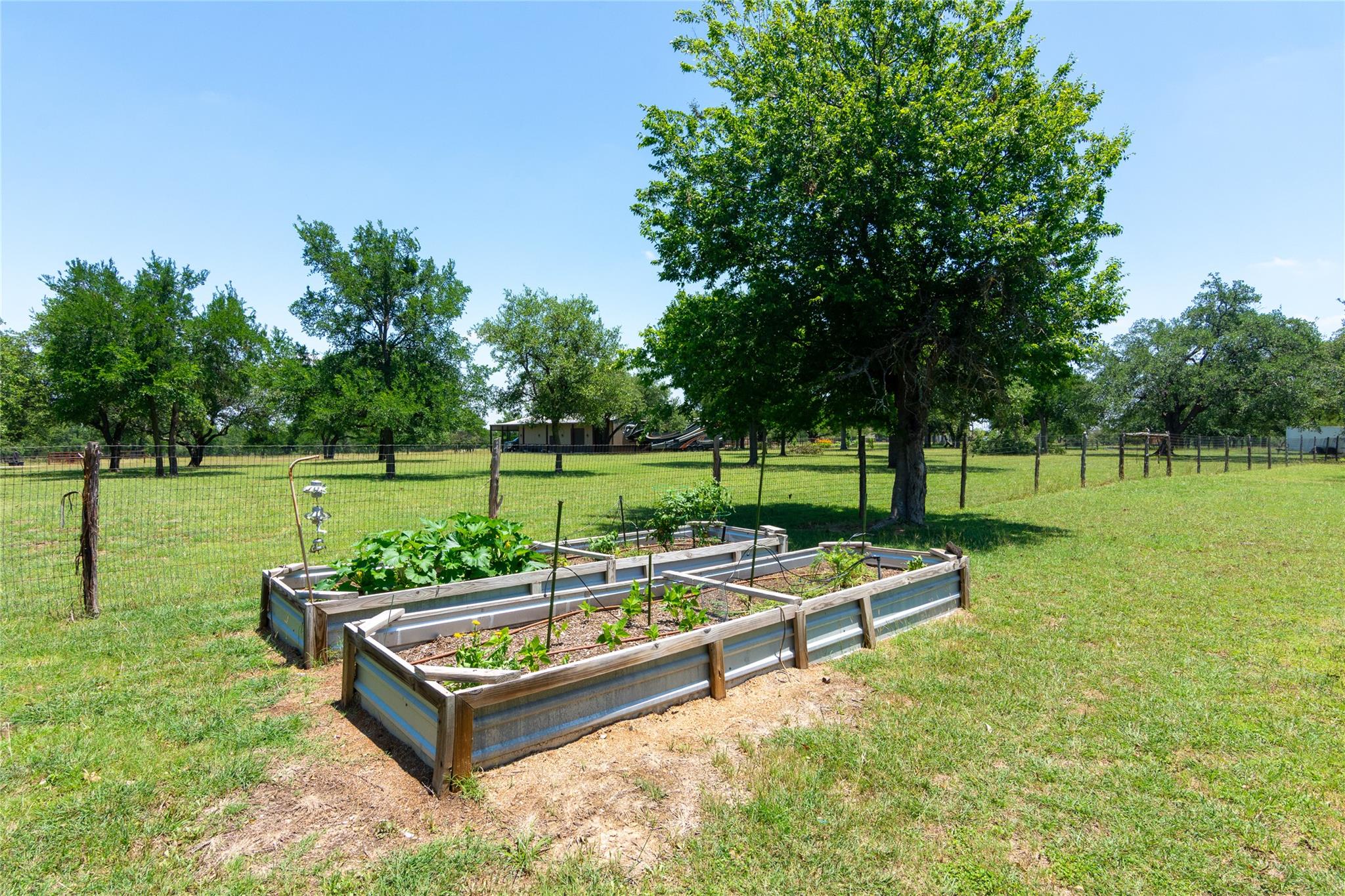 1265 Mourning Dove Ct, Salado, TX 76571