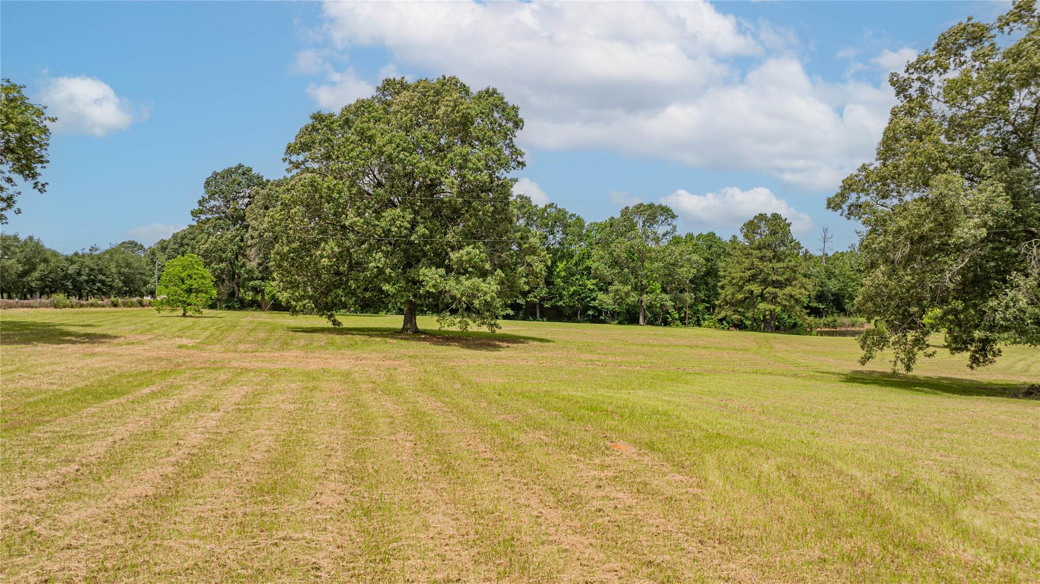 2208 US Highway 96 S, Center, TX 75935