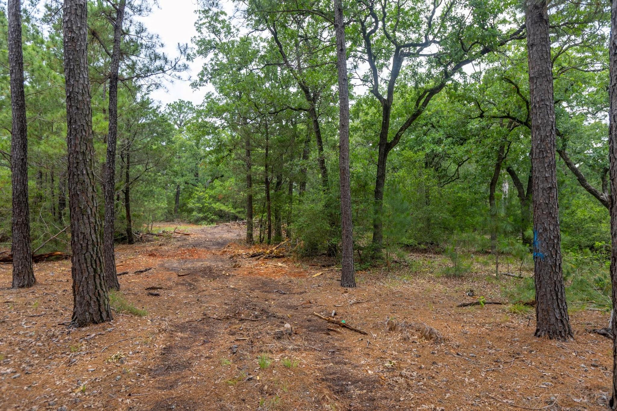 492 S Old Potato Rd, Paige, TX 78659