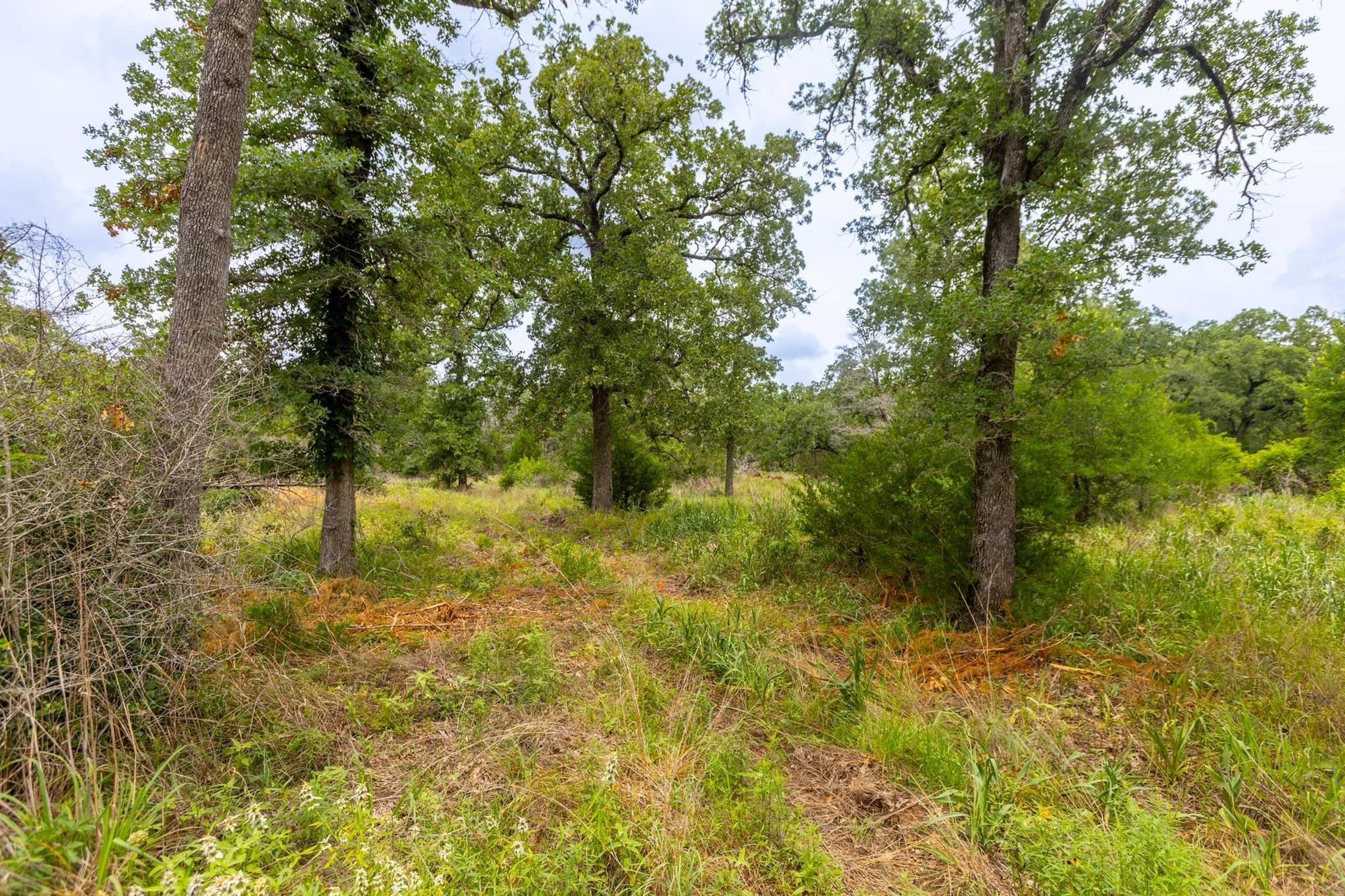 492 S Old Potato Rd, Paige, TX 78659