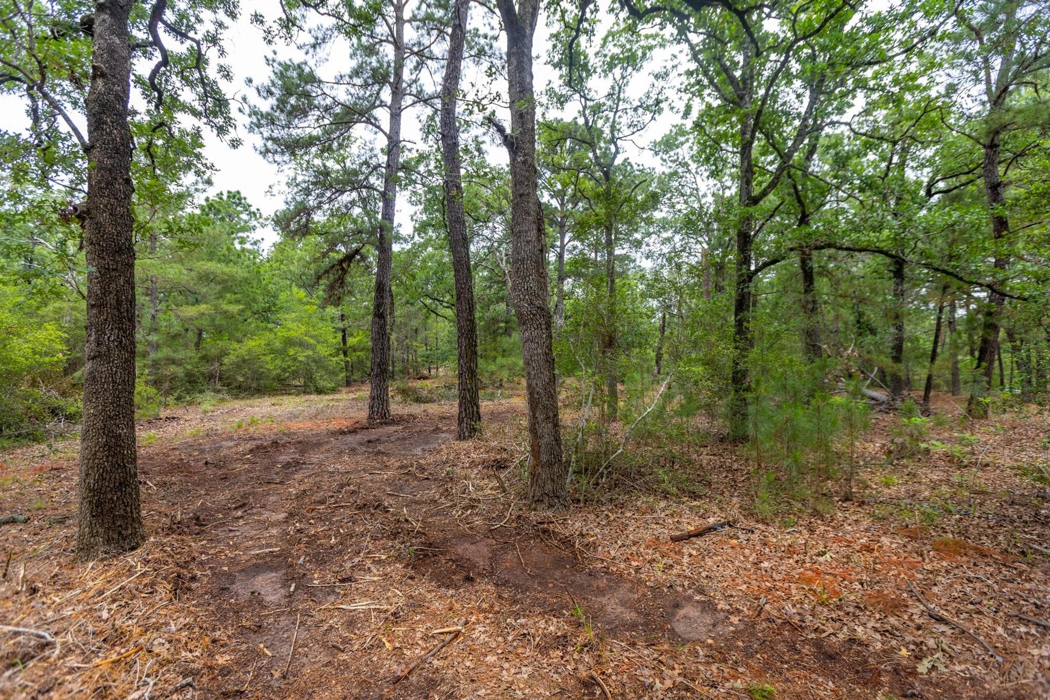 492 S Old Potato Rd, Paige, TX 78659