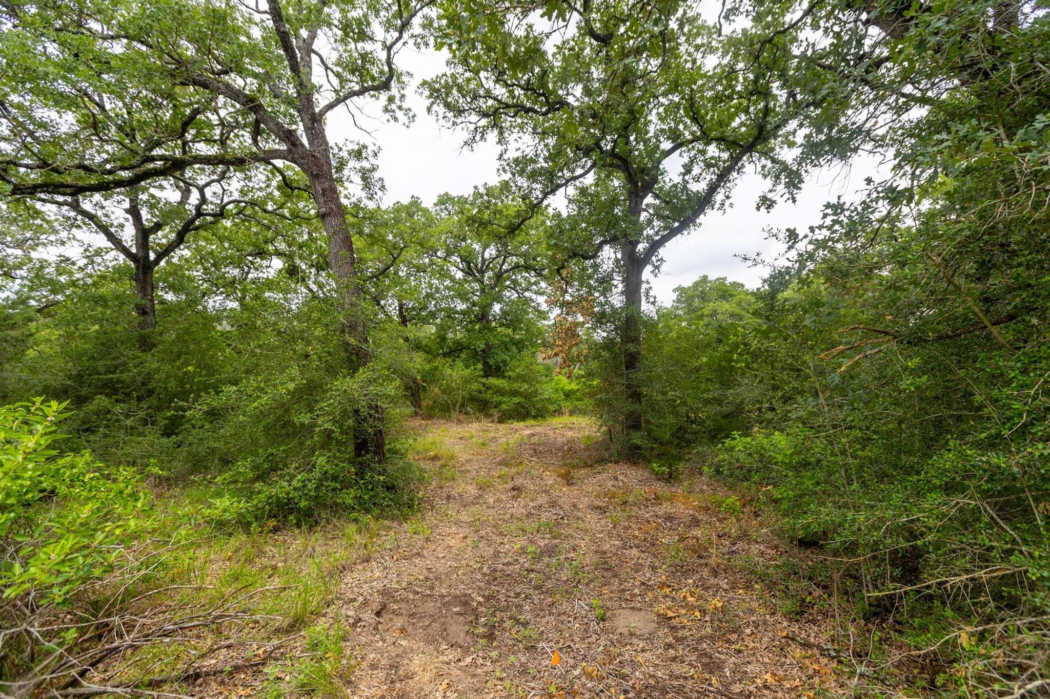 492 S Old Potato Rd, Paige, TX 78659