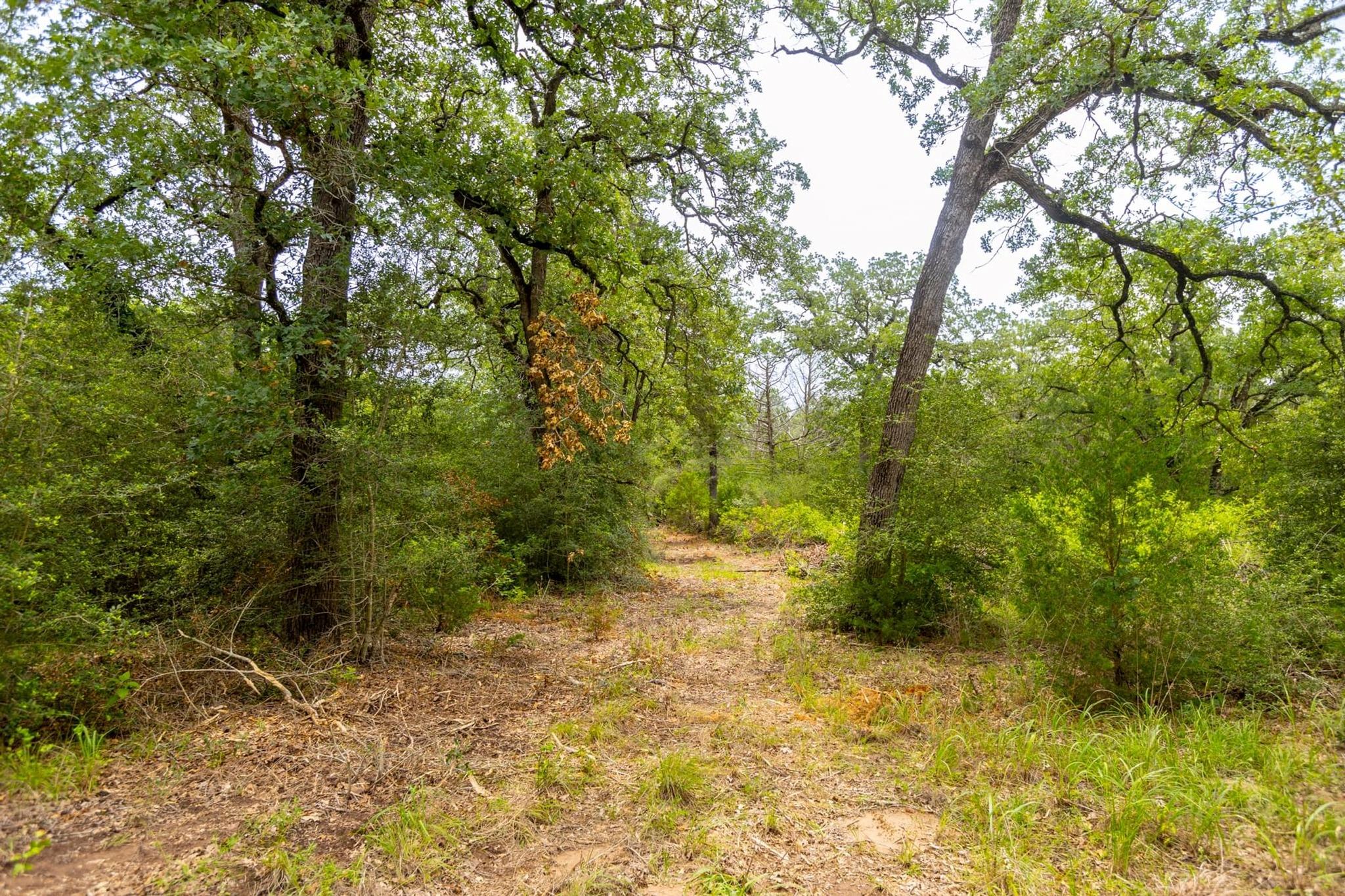 492 S Old Potato Rd, Paige, TX 78659