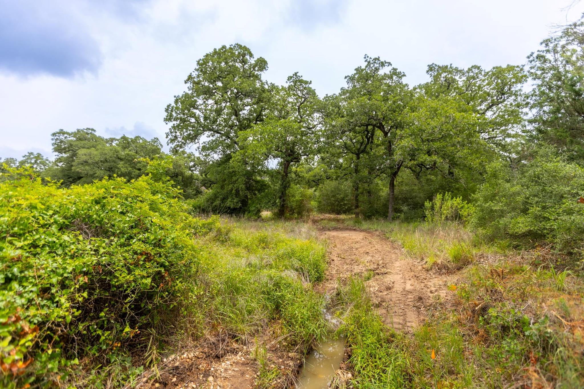 492 S Old Potato Rd, Paige, TX 78659