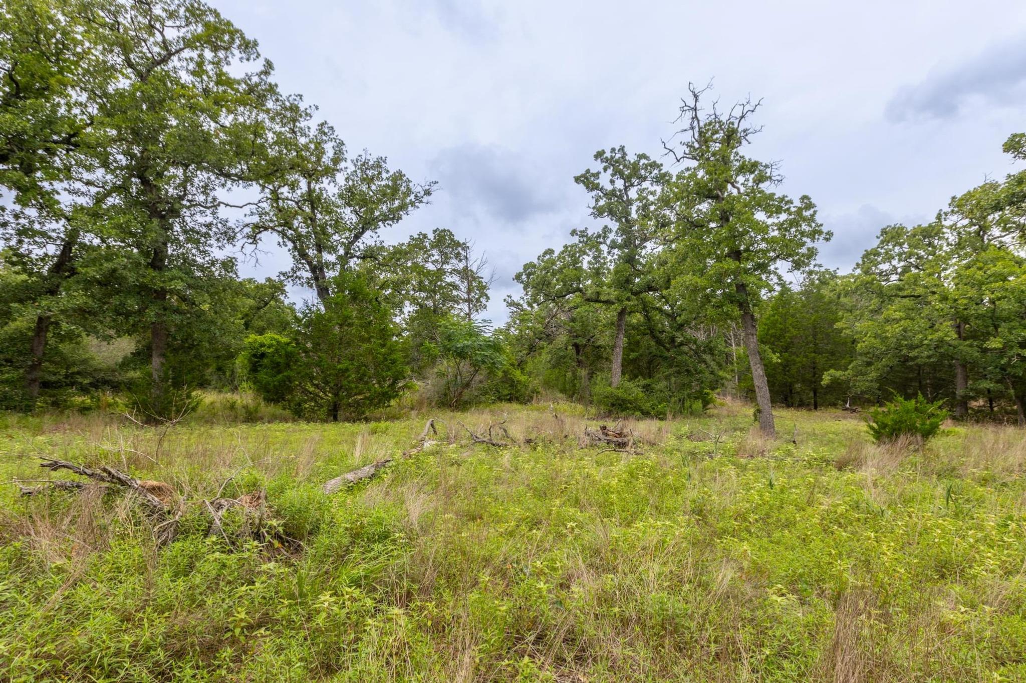 492 S Old Potato Rd, Paige, TX 78659