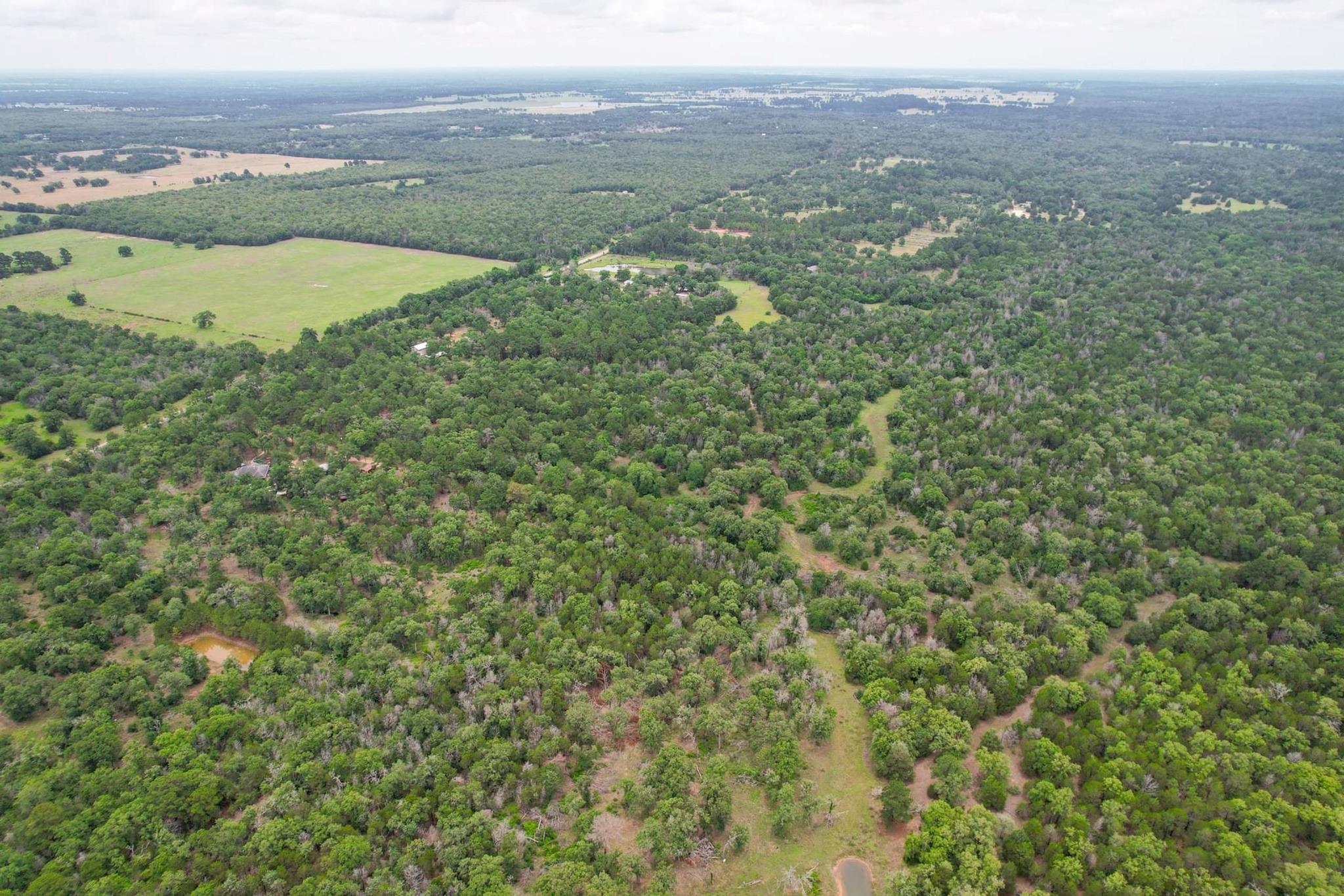 492 S Old Potato Rd, Paige, TX 78659