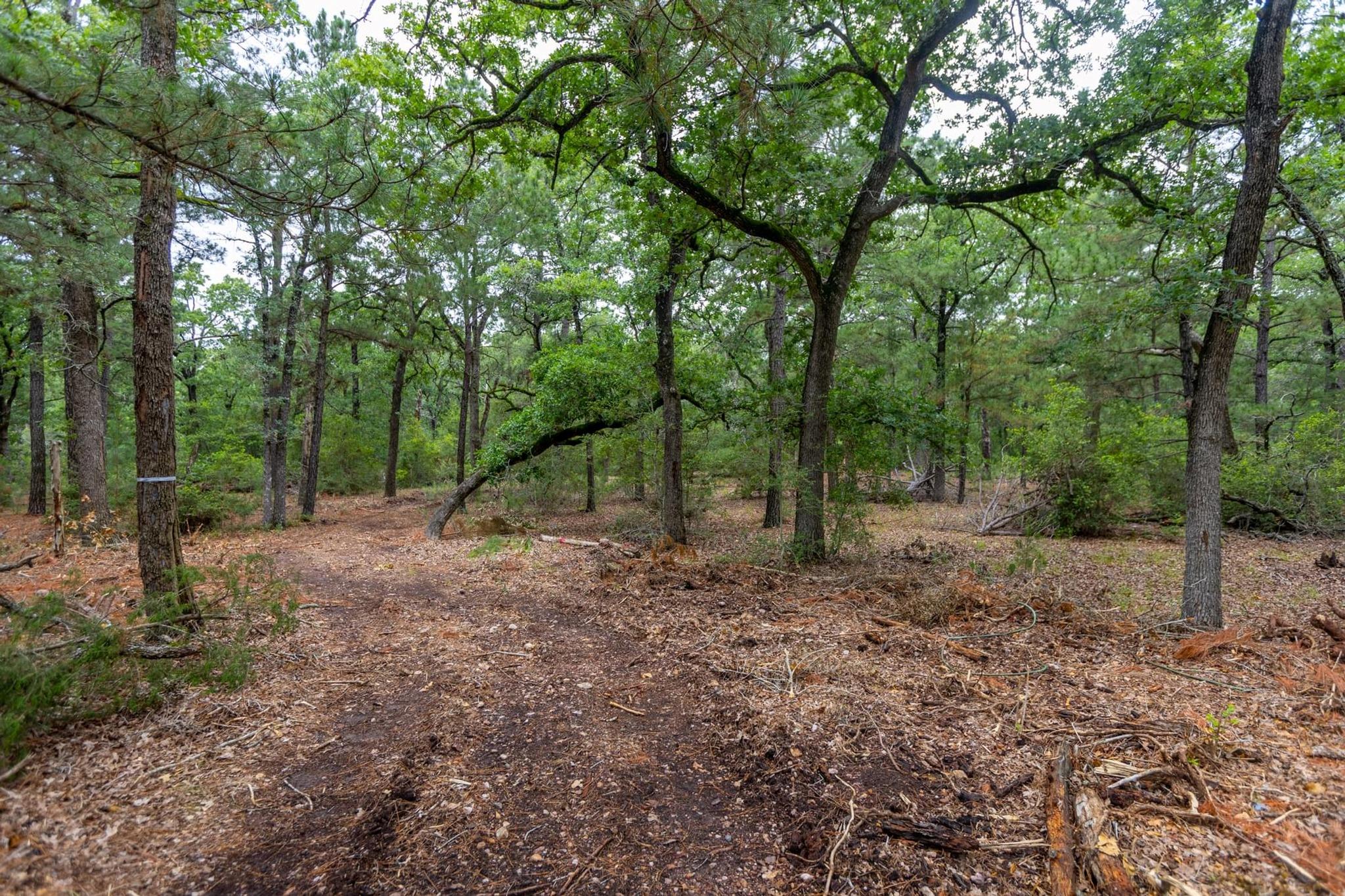 492 S Old Potato Rd, Paige, TX 78659