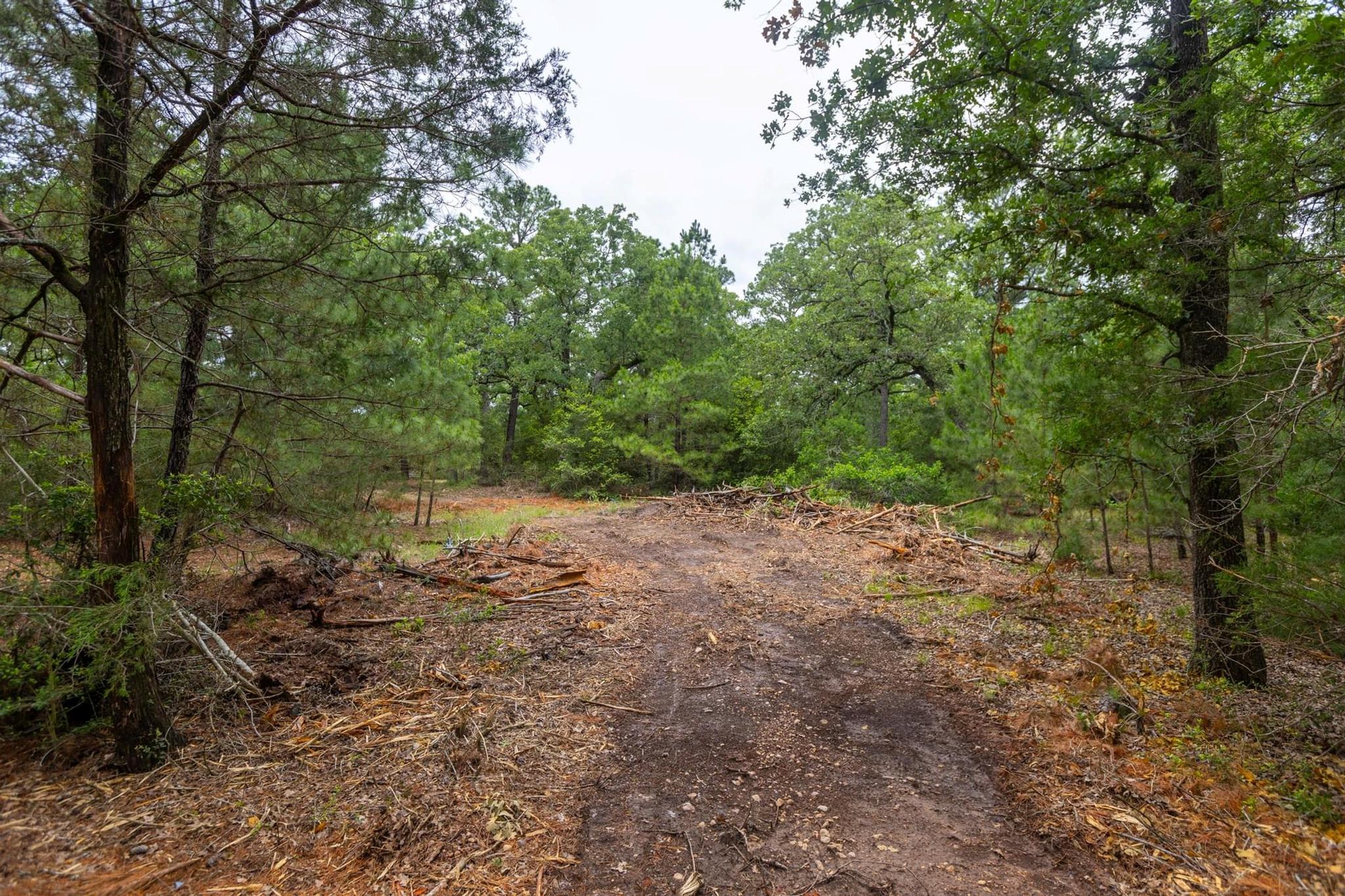 492 S Old Potato Rd, Paige, TX 78659